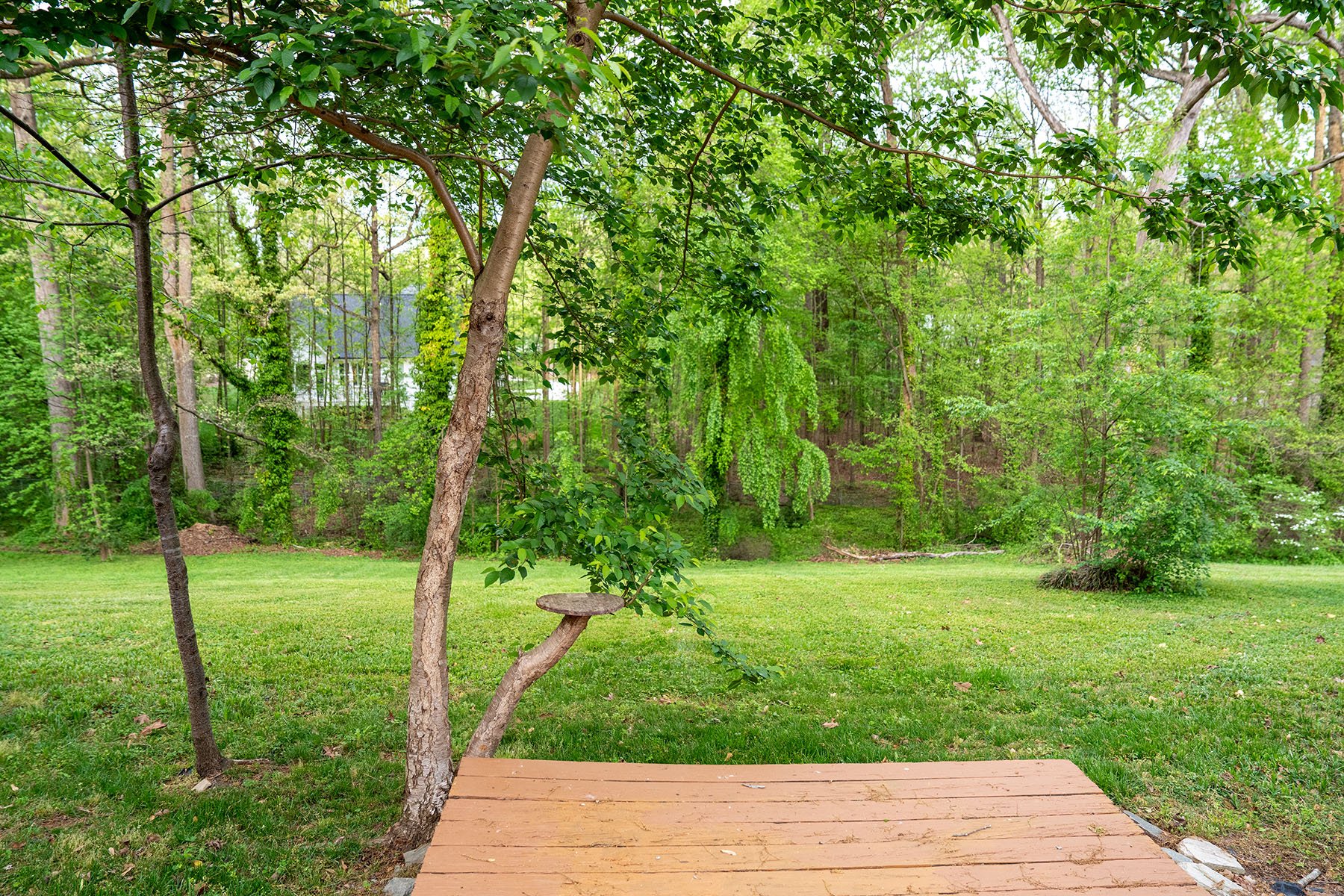  Statesville - 物件實景