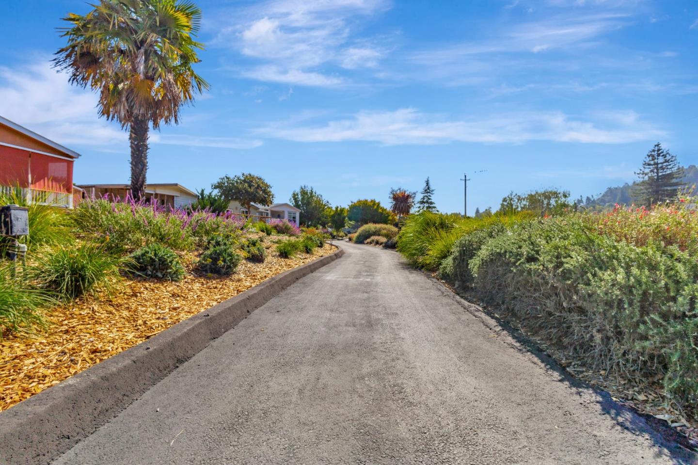 Scotts Valley, California, 95066, United States, 2 Bedrooms Bedrooms, ,2 BathroomsBathrooms,Residential,For Sale,1994569