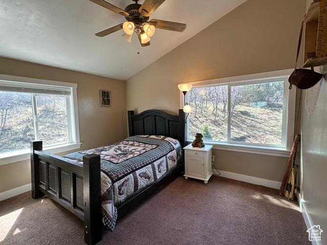 Mt Pleasant, Utah, 84647, United States, 4 Bedrooms Bedrooms, ,3 BathroomsBathrooms,Residential,For Sale,1921655