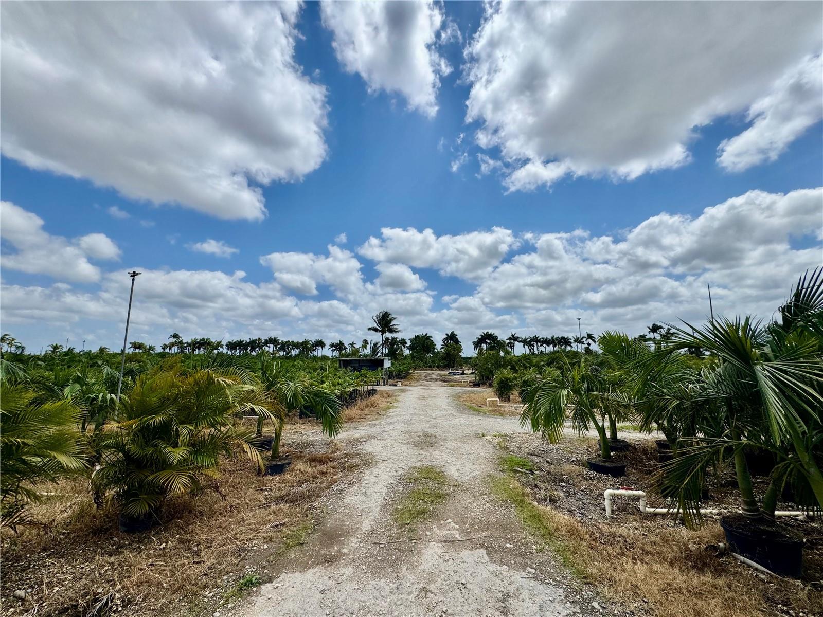 Homestead, Florida, 33034, United States, ,Land,For Sale,1985772