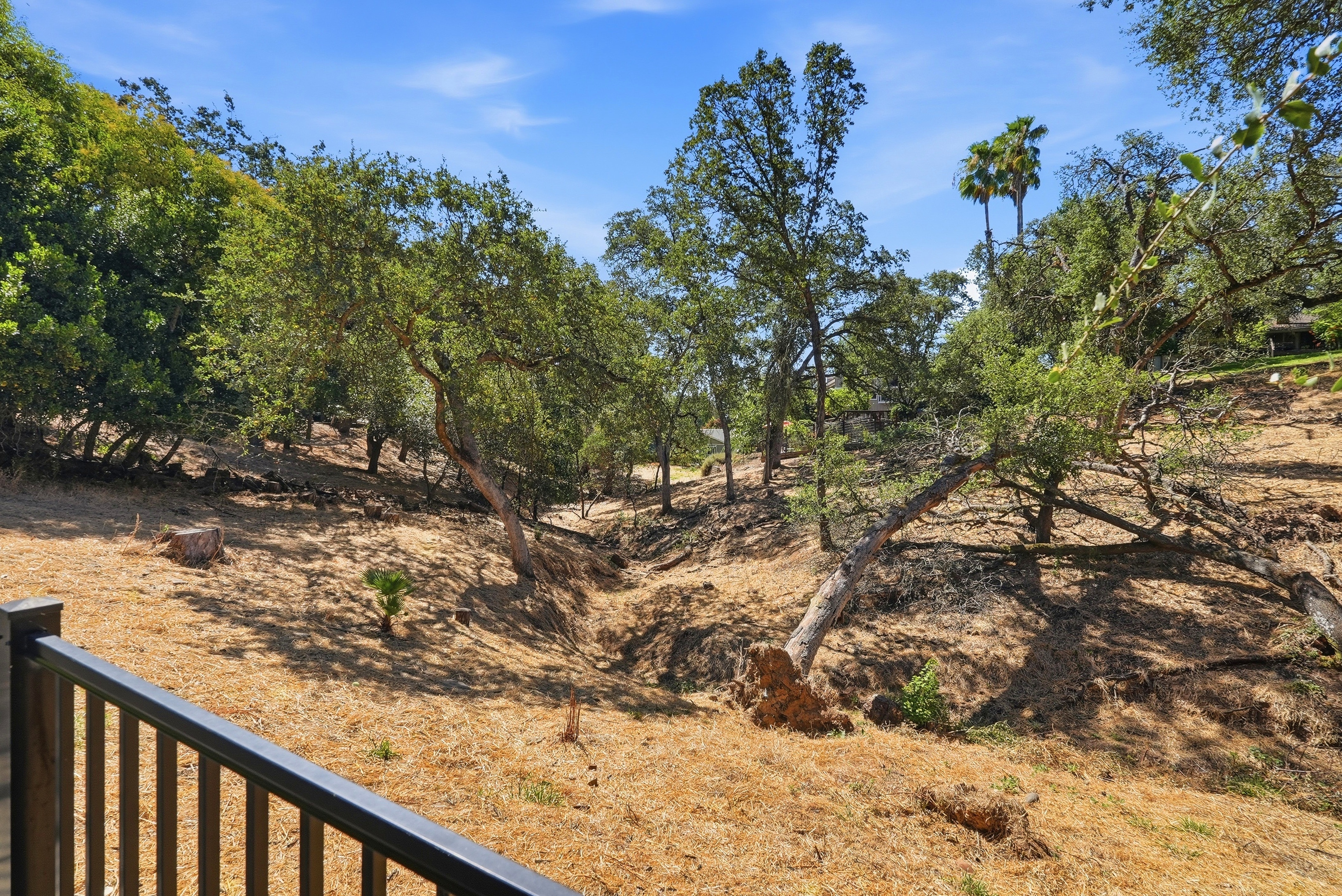  9290 South Ravine Lane, Fair Oaks, CA 95628 - 物件實景