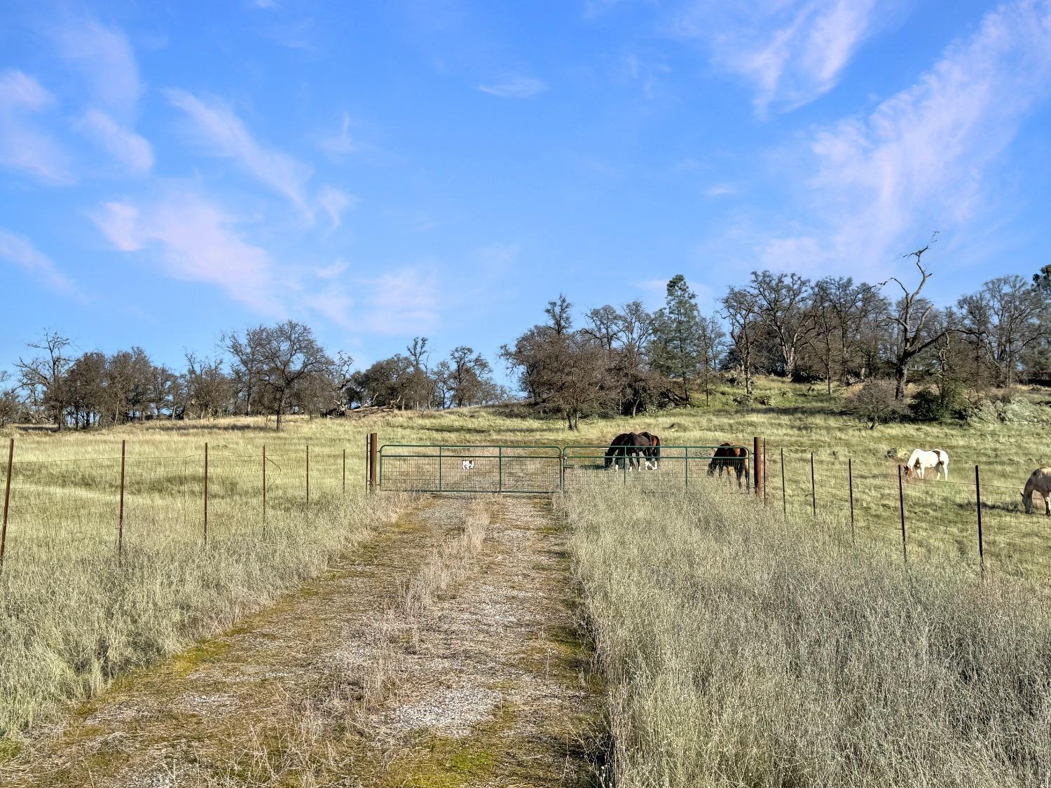 Cool, California, 95614, United States, ,Residential,For Sale,1869298