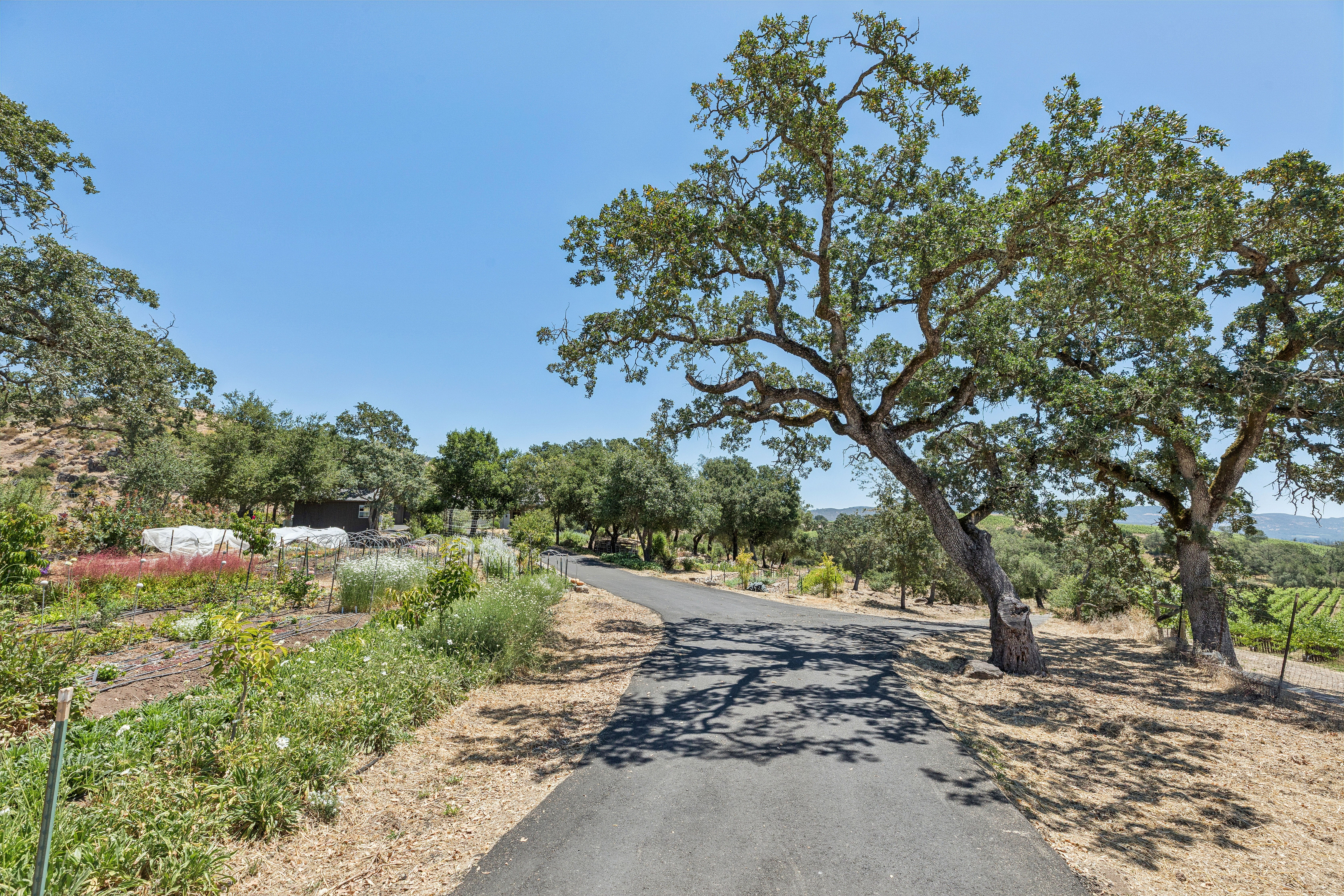  Refined Wine Country Estate - 物件實景