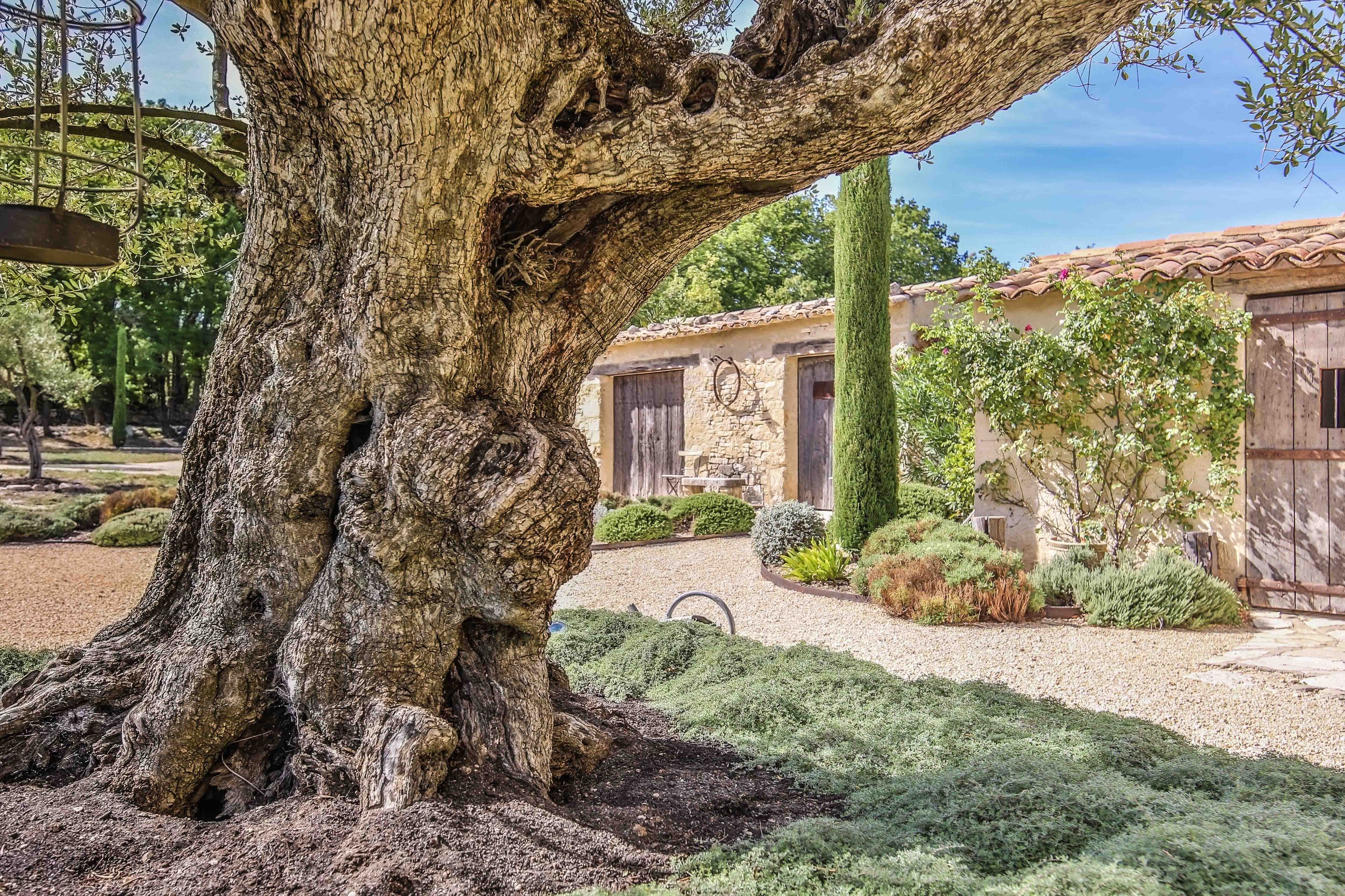  a home immersed in nature, where  provence becomes a way of life - 物件實景