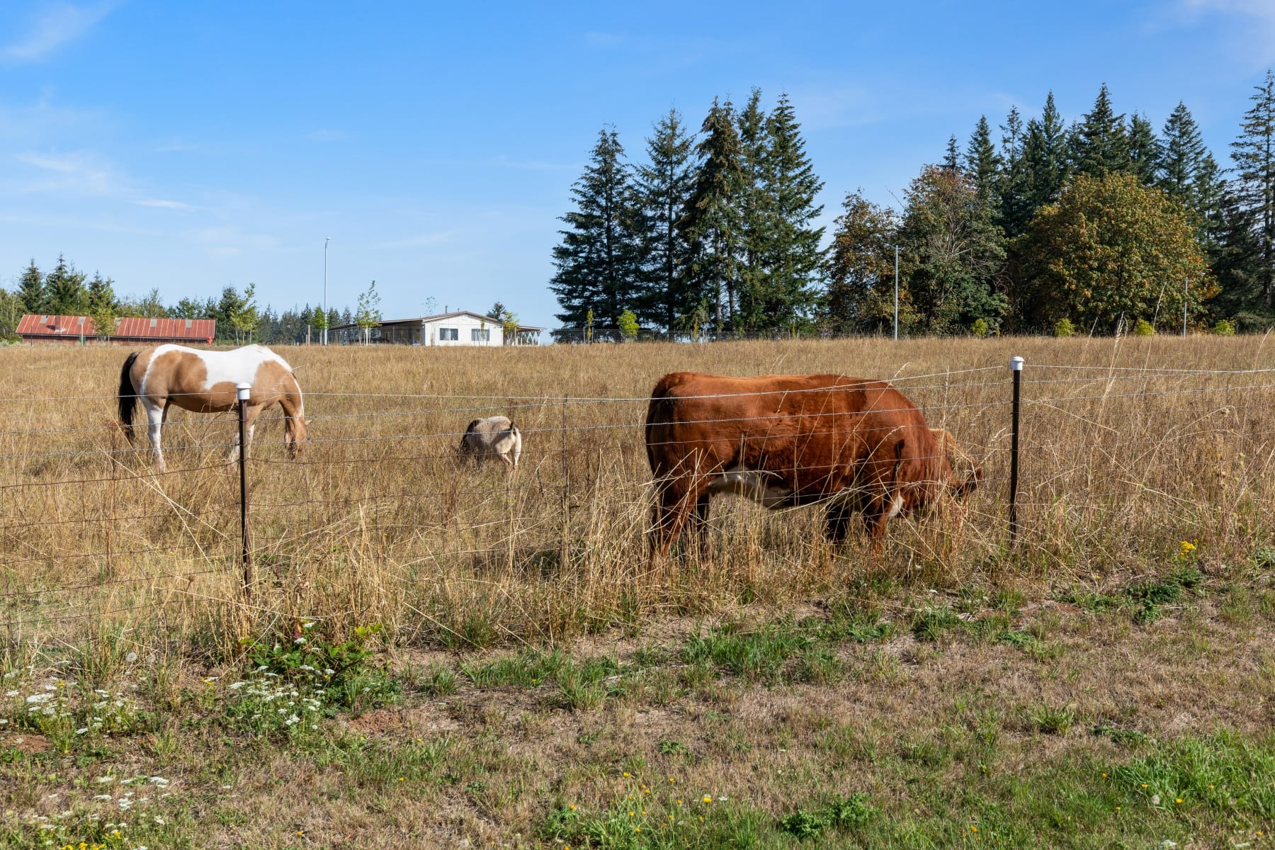 16370 Bell ST Sandy, OR 97055 - 物件實景