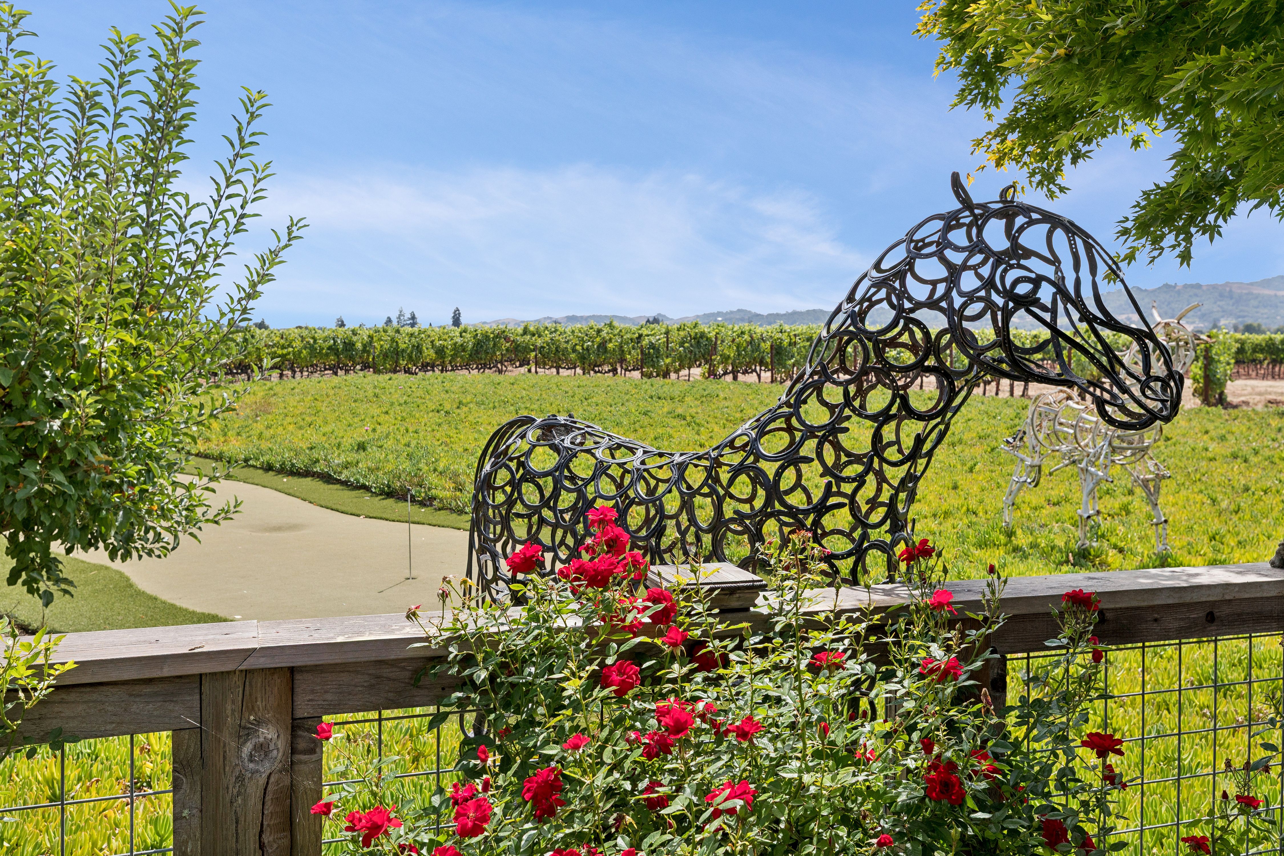  Extraordinary Napa Valley Estate - 物件實景