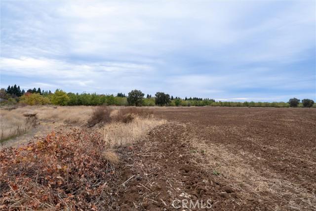 Chico, California, 95973, United States, ,Land,For Sale,1981972