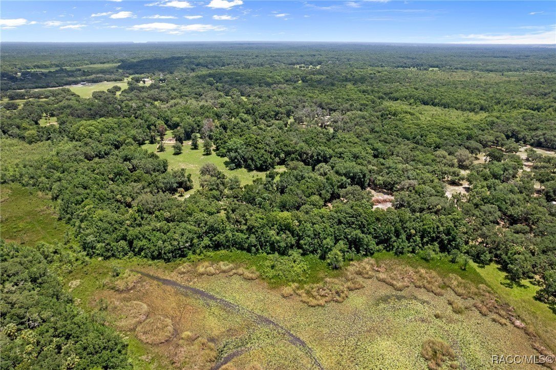 Inverness, Florida, 34453, United States, 6 Bedrooms Bedrooms, ,4 BathroomsBathrooms,Residential,For Sale,1975798
