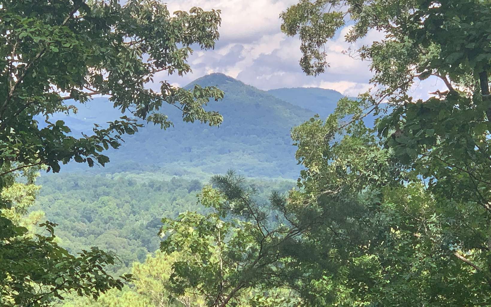 Jasper, Georgia, 30143, United States, ,Residential,For Sale,1916638