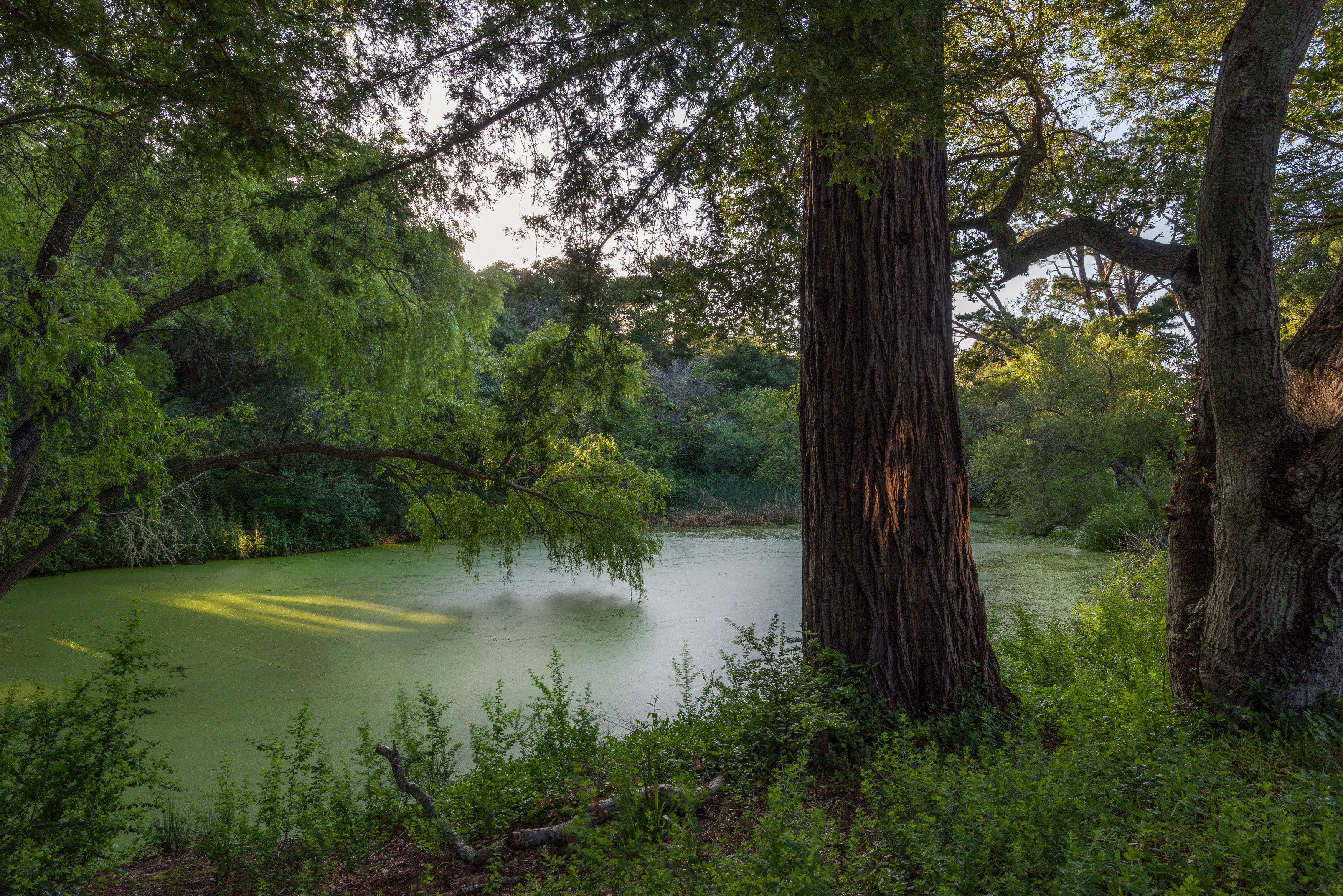 90 Hayfields Road, Portola Valley, CA 94028 - 物件實景