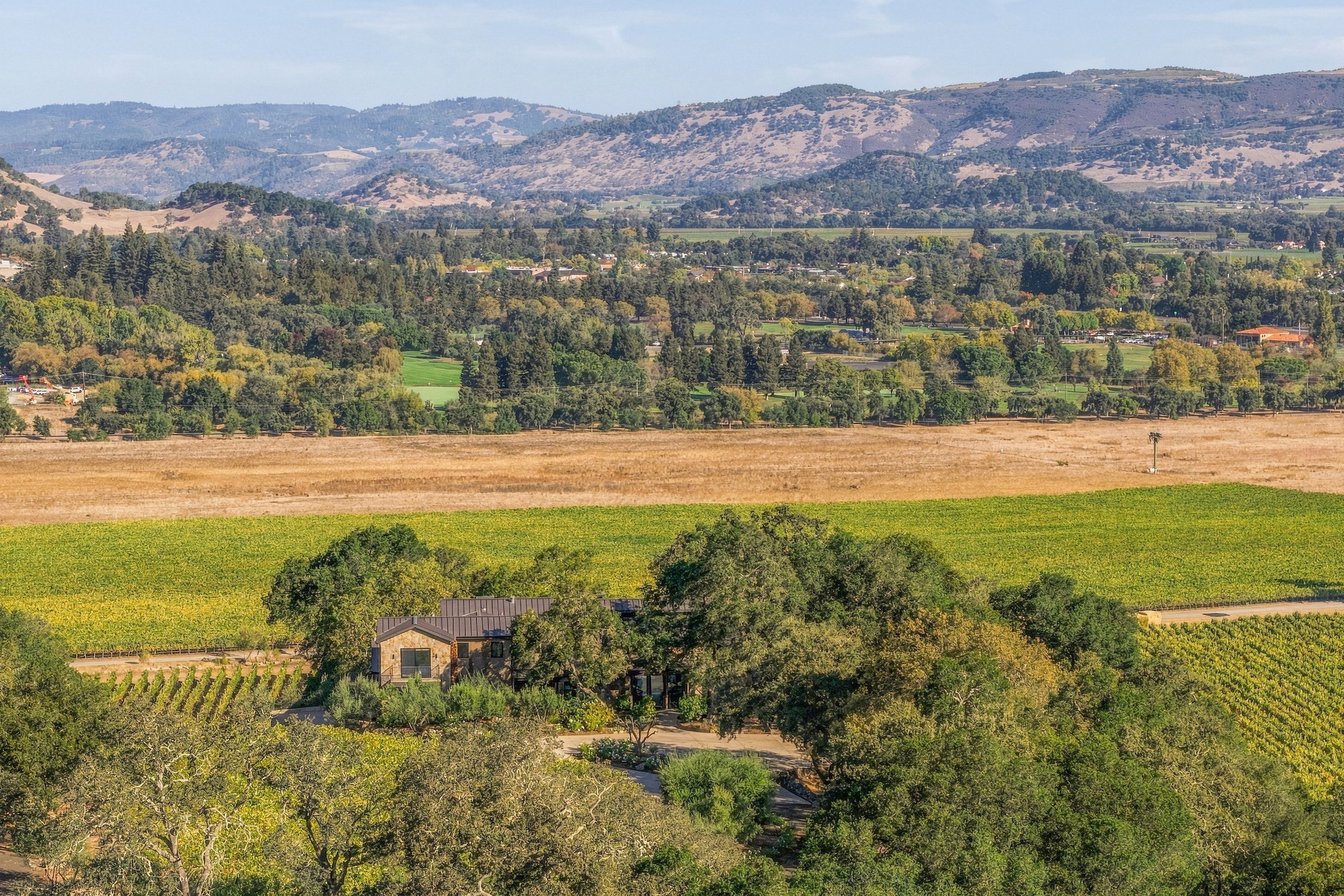  45 Vineyard View Drive - 物件實景