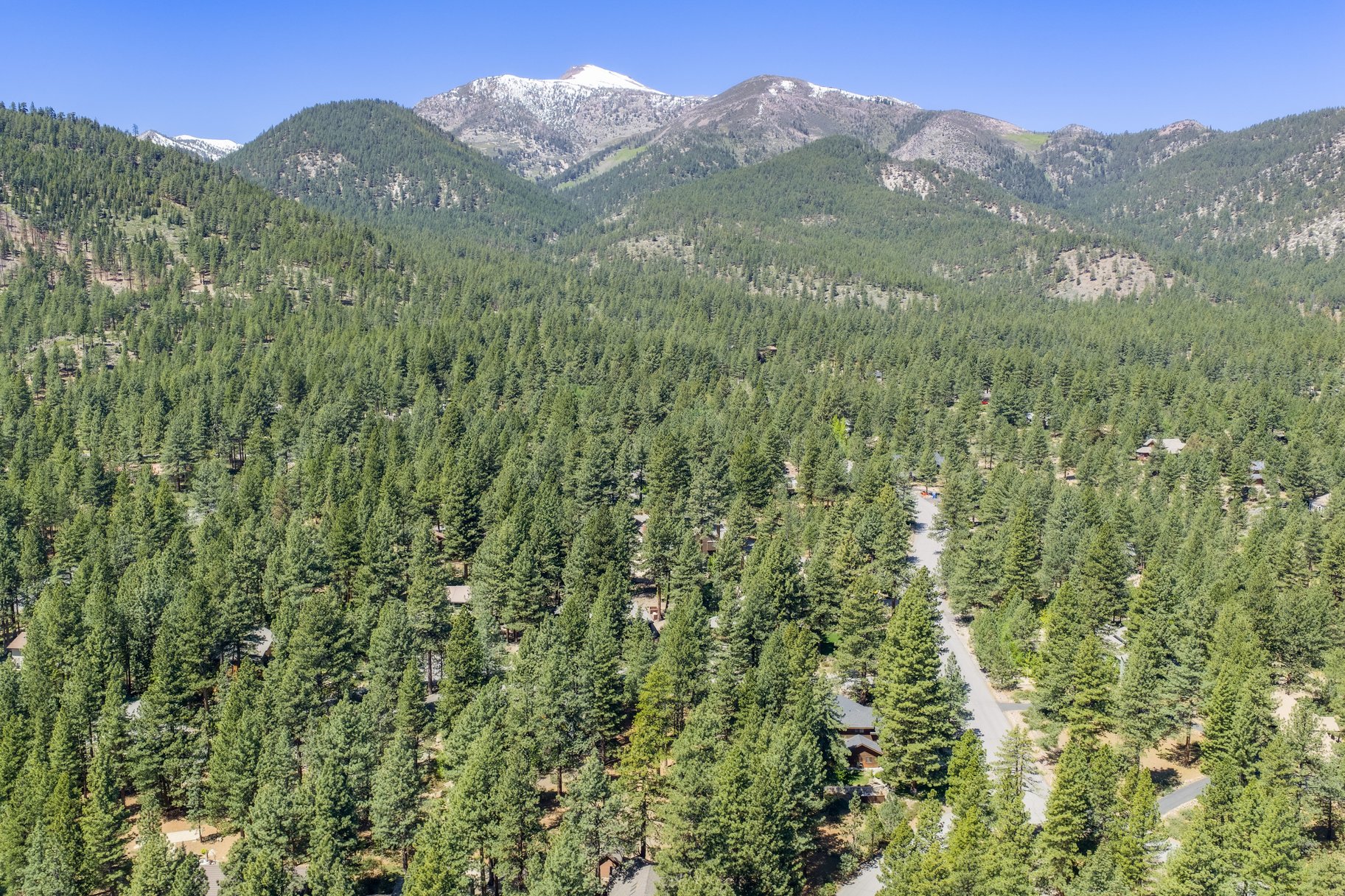  Private Galena Forest Parcel Near Mt. Rose with Pines & Tahoe Access - 物件實景