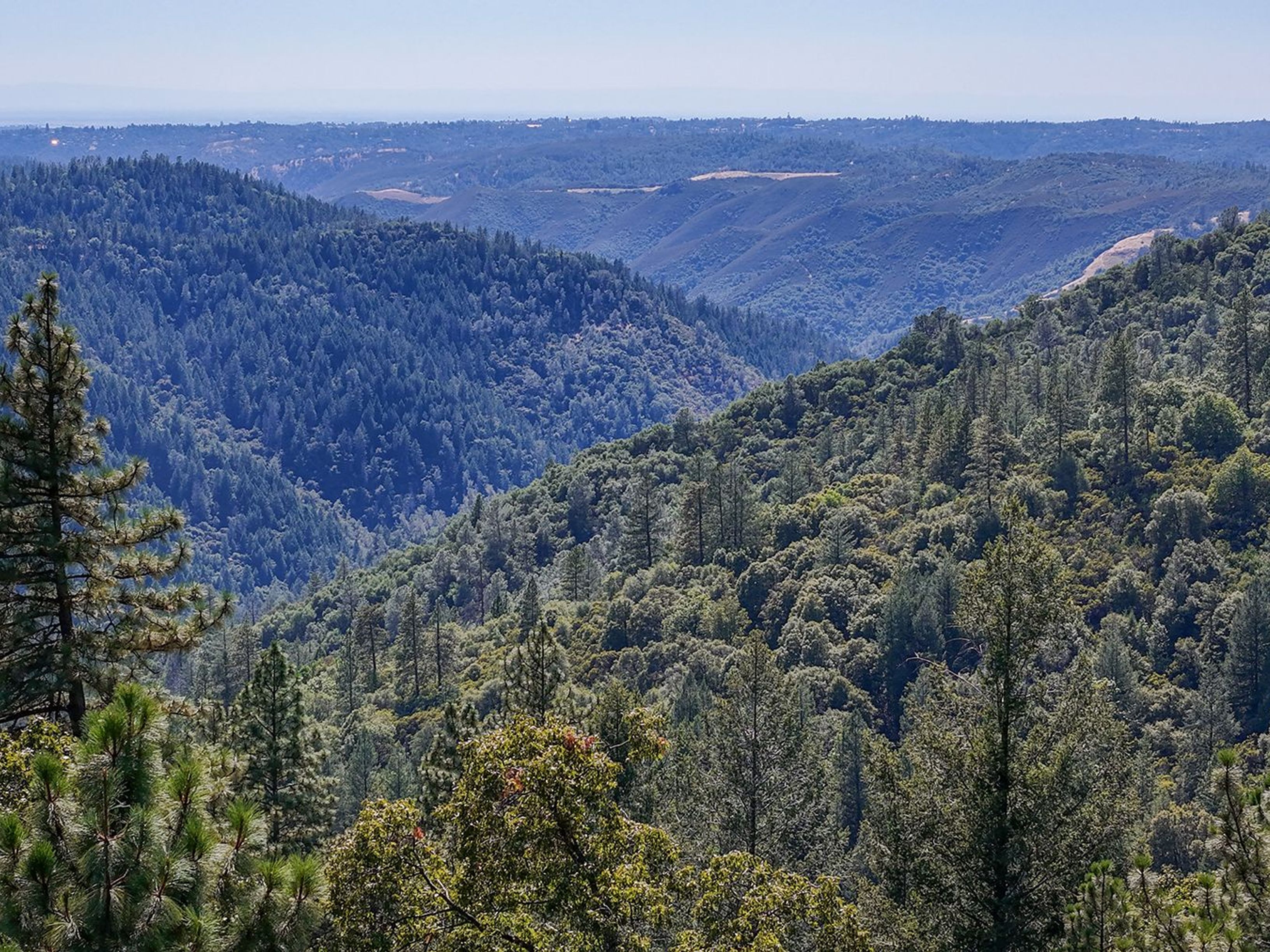  5199 Roquero Cerro Road, Greenwood, CA 95635 - 物件實景