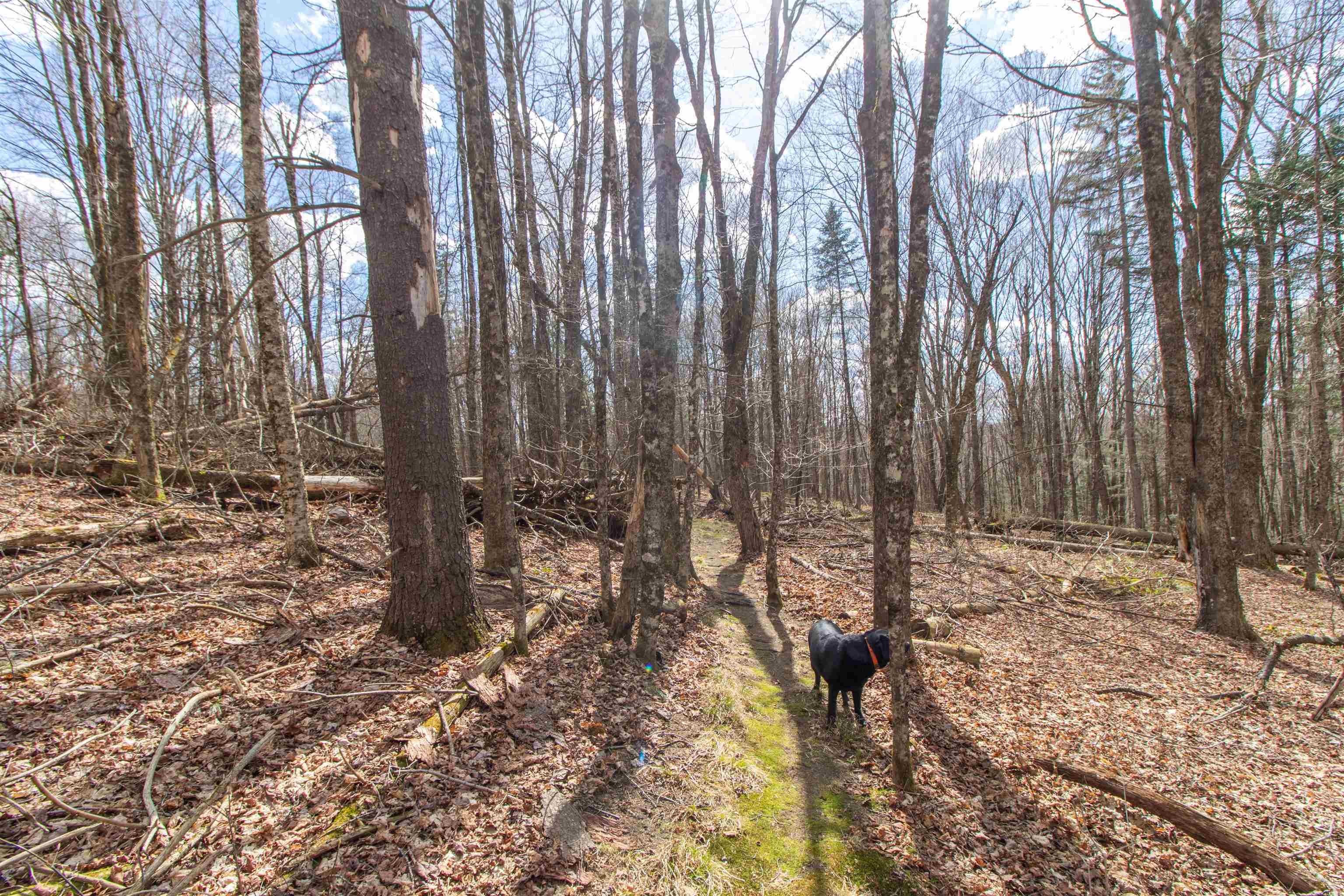 Burke, Vermont, 05832, United States, ,Land,For Sale,2041867