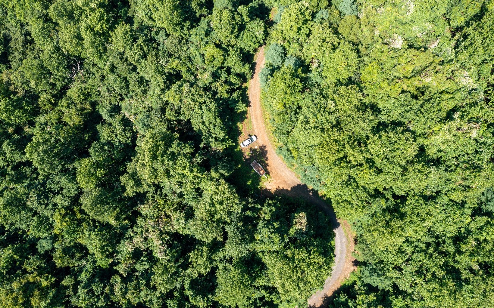 101ac Lori'S Mountain, Hayesville, North Carolina, 28904, United States, ,Residential,For Sale,101ac Lori'S Mountain,1304629