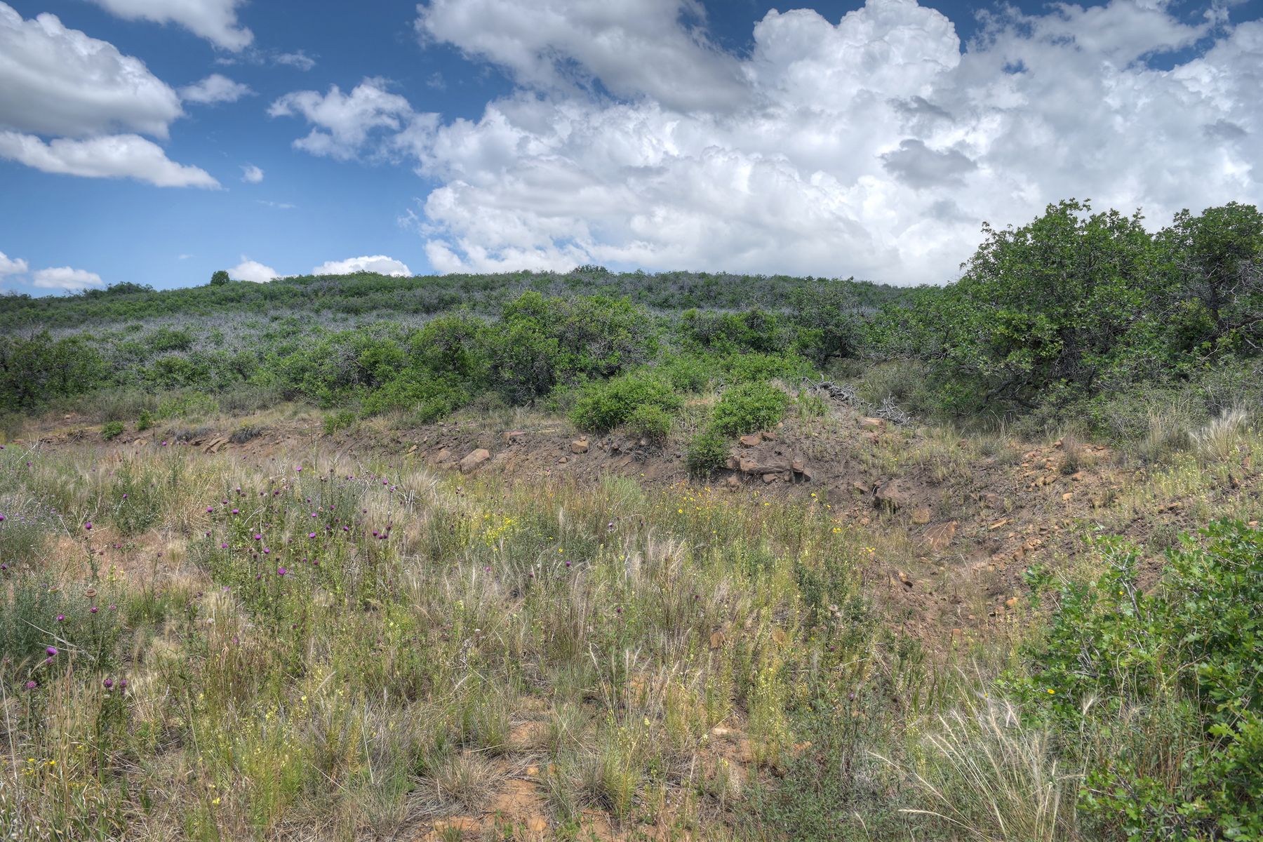  TBD Cross Creek Road, Hesperus, CO 81326 - 物件實景