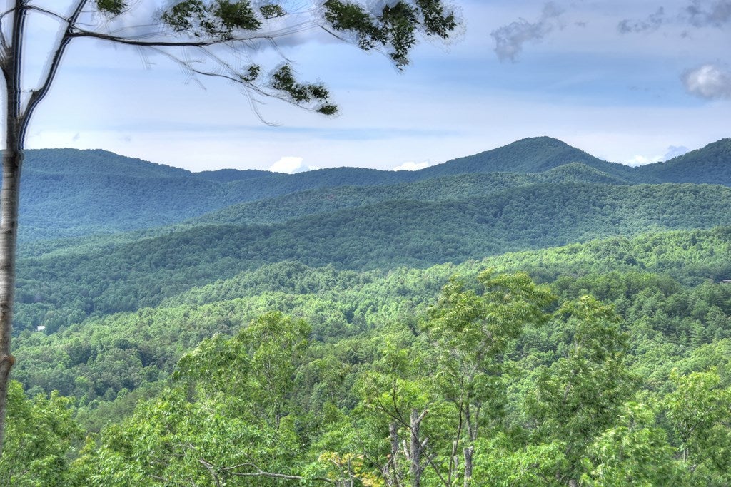 Mineral Bluff, Georgia, 30559, United States, 4 Bedrooms Bedrooms, ,4 BathroomsBathrooms,Residential,For Sale,1871299