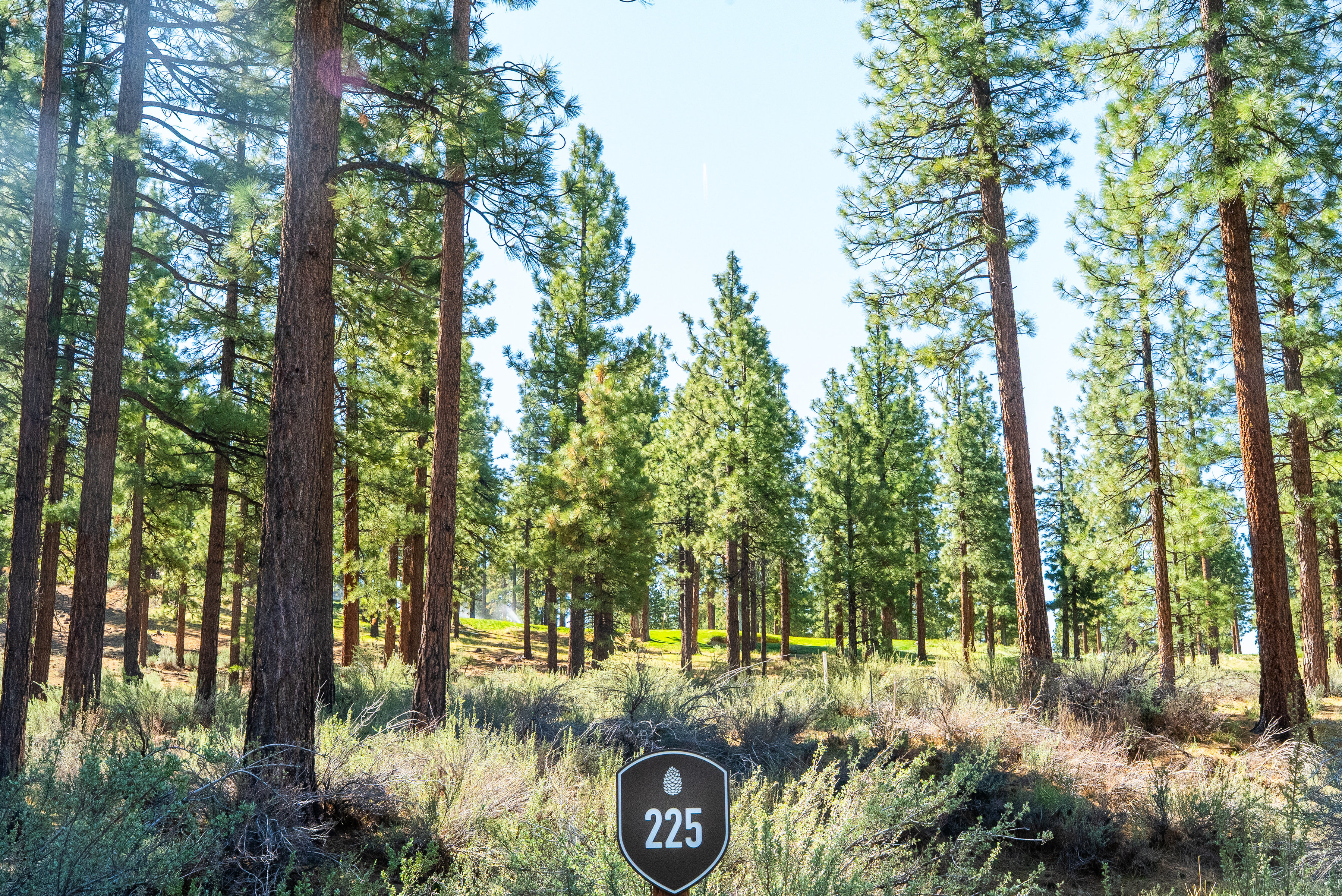  Two Extraordinary Pieces of Land in Clear Creek Tahoe - 物件實景