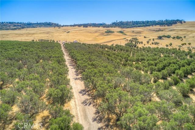 Oroville, California, 95965, United States, ,Land,For Sale,1978815