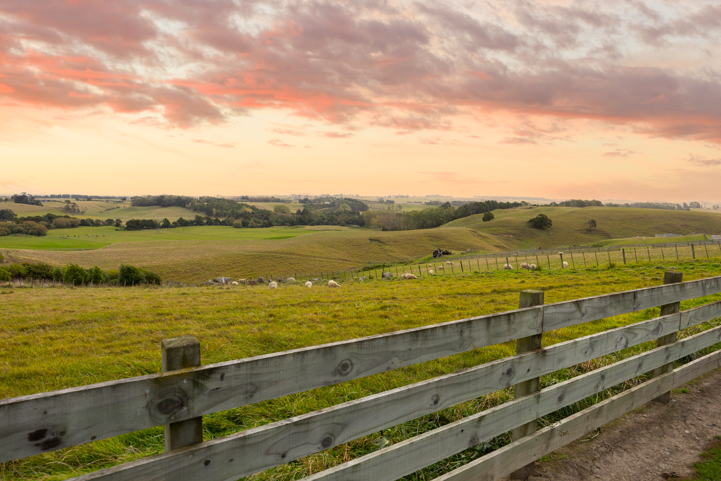  143 Ranfurly, Feilding - 物件實景