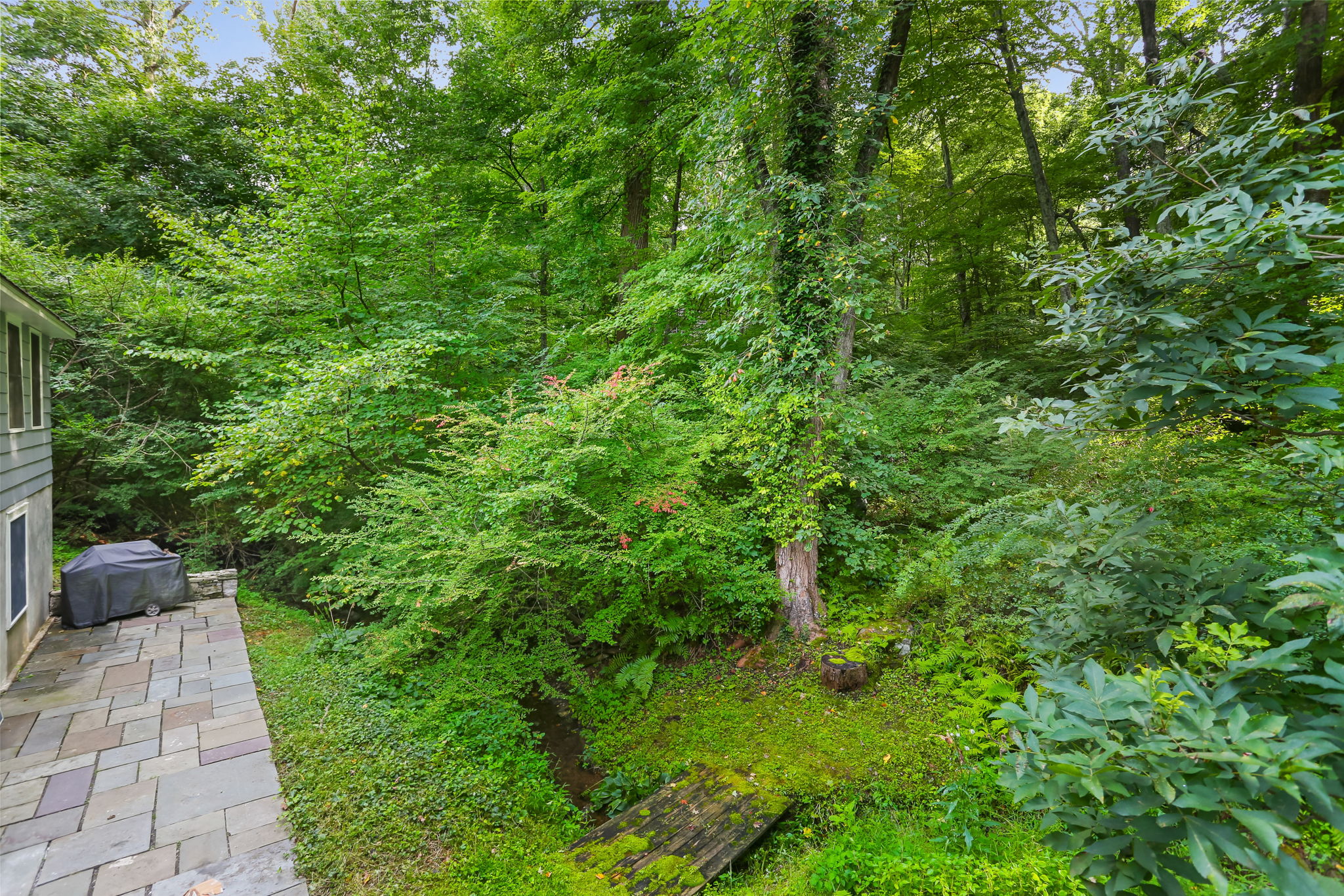  Charming Cape Cod - 物件實景