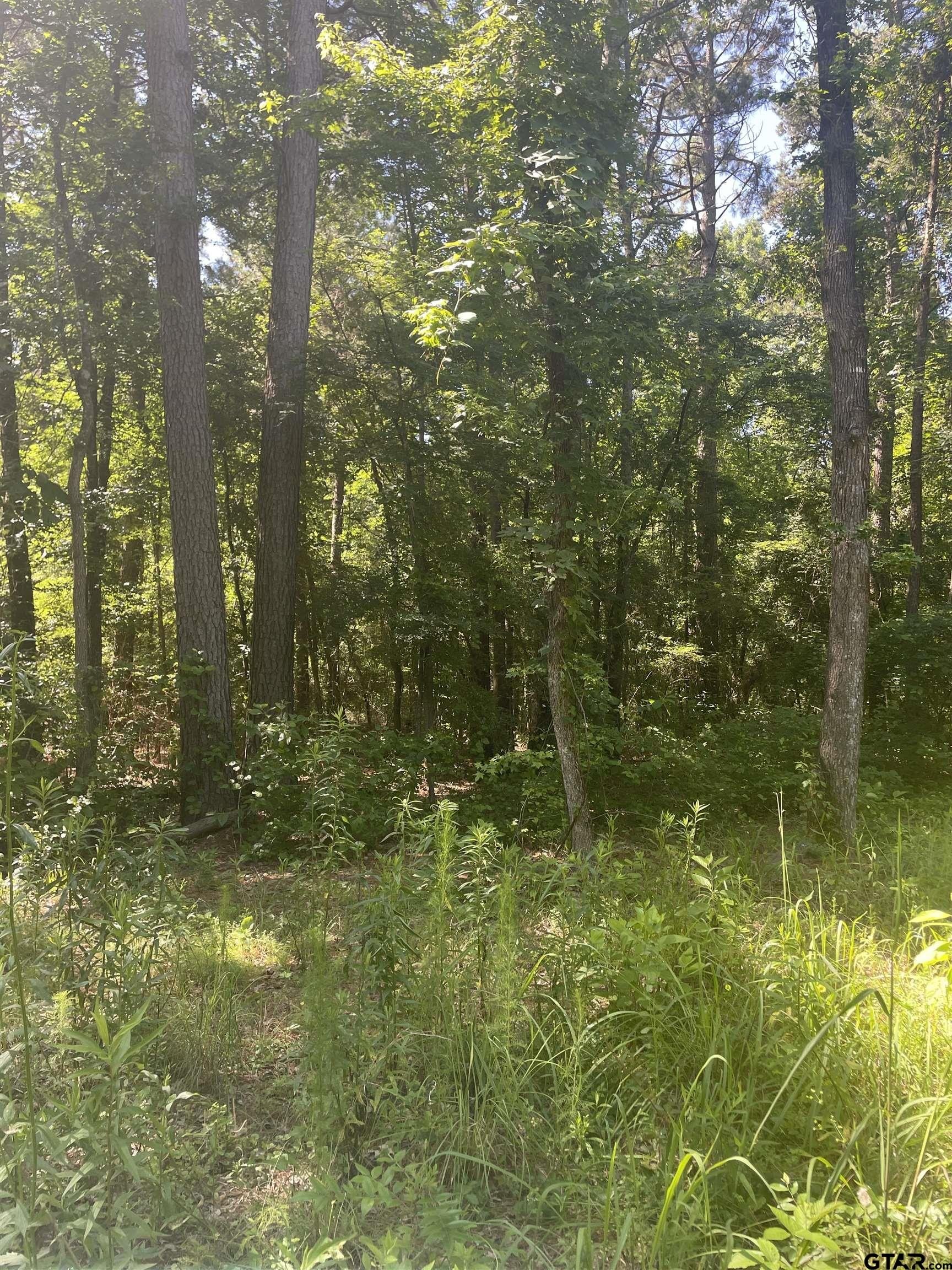 Pittsburg, Texas, 75686, United States, 3 Bedrooms Bedrooms, ,3 BathroomsBathrooms,Residential,For Sale,1982891