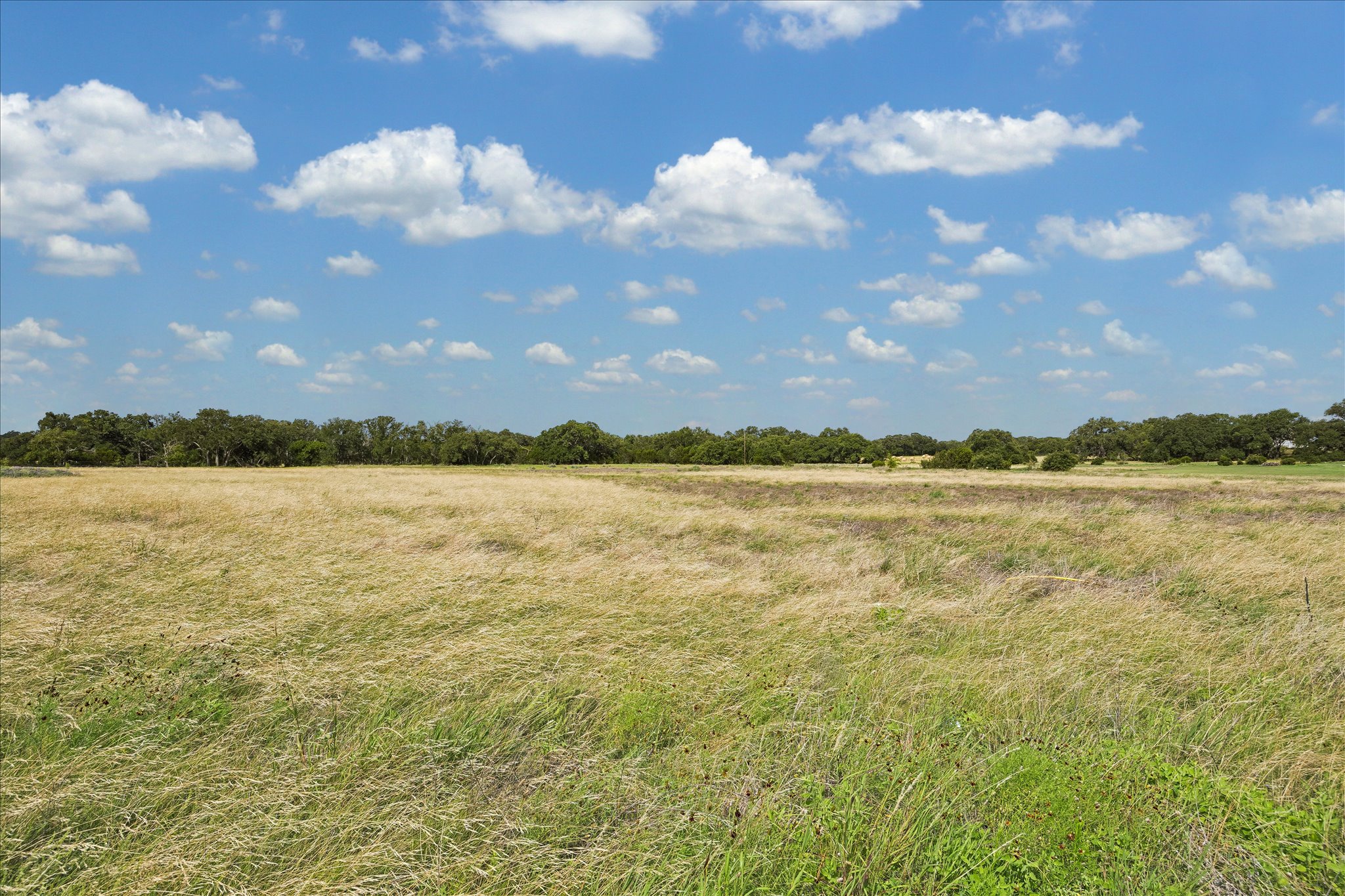  Premier 1.15-Acre Lot - 物件實景