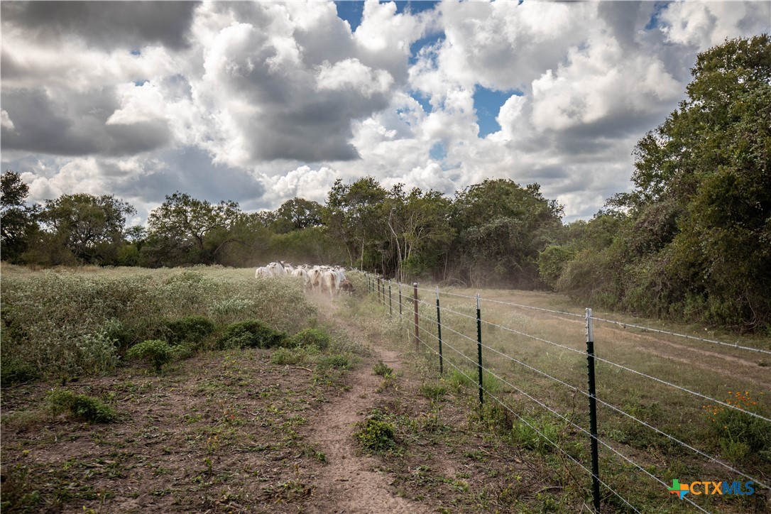 Cuero, Texas, 77954, United States, ,Residential,For Sale,1949163