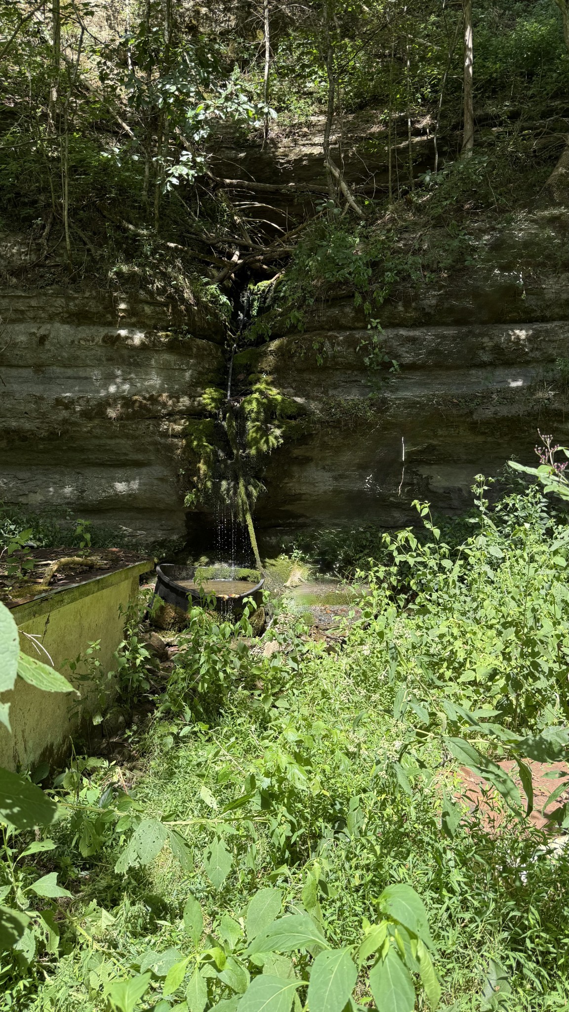 Celina, Tennessee, 38551, United States, ,Land,For Sale,1977132