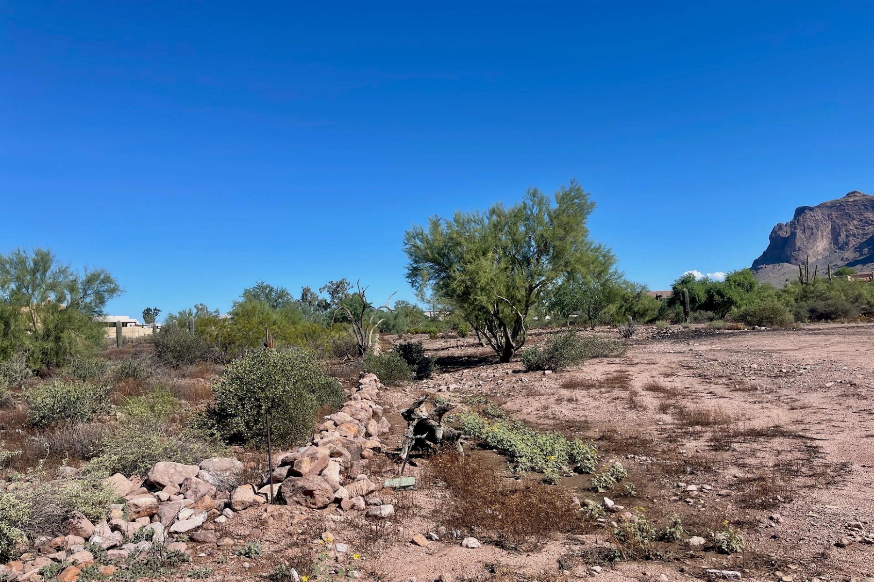  52 E Scenic (geronimo) Street¦Apache Junction, AZ - 物件實景