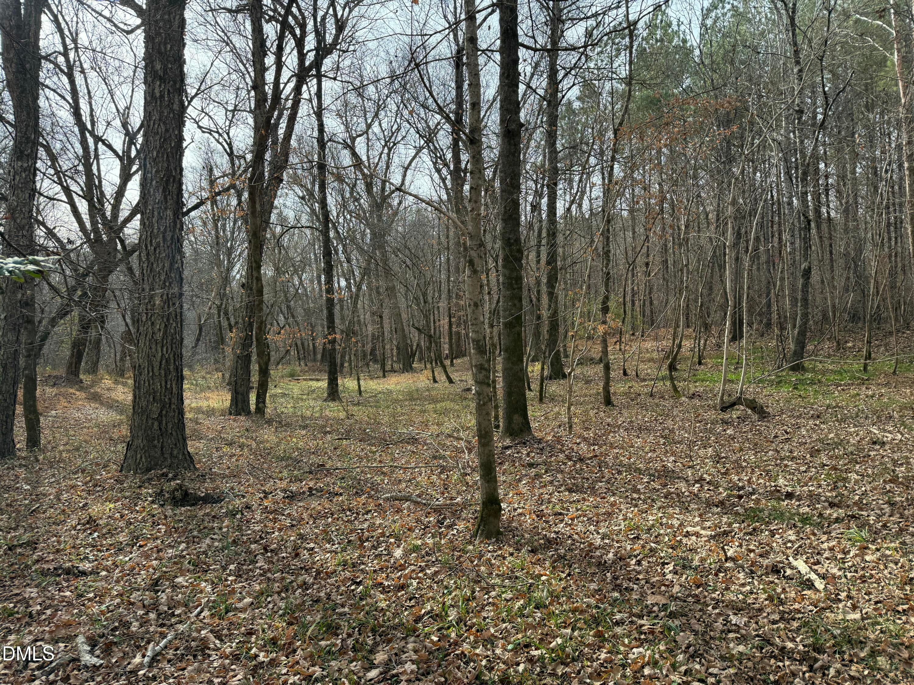 Oxford, North Carolina, 27565, United States, ,Land,For Sale,2000467