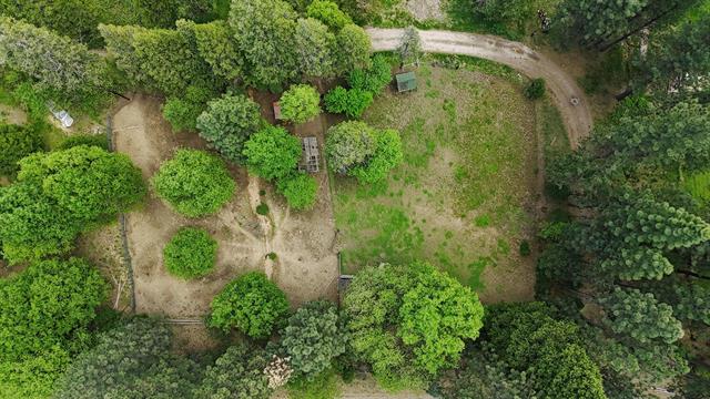 Quincy, California, 95971, United States, 3 Bedrooms Bedrooms, ,2 BathroomsBathrooms,Residential,For Sale,1857389