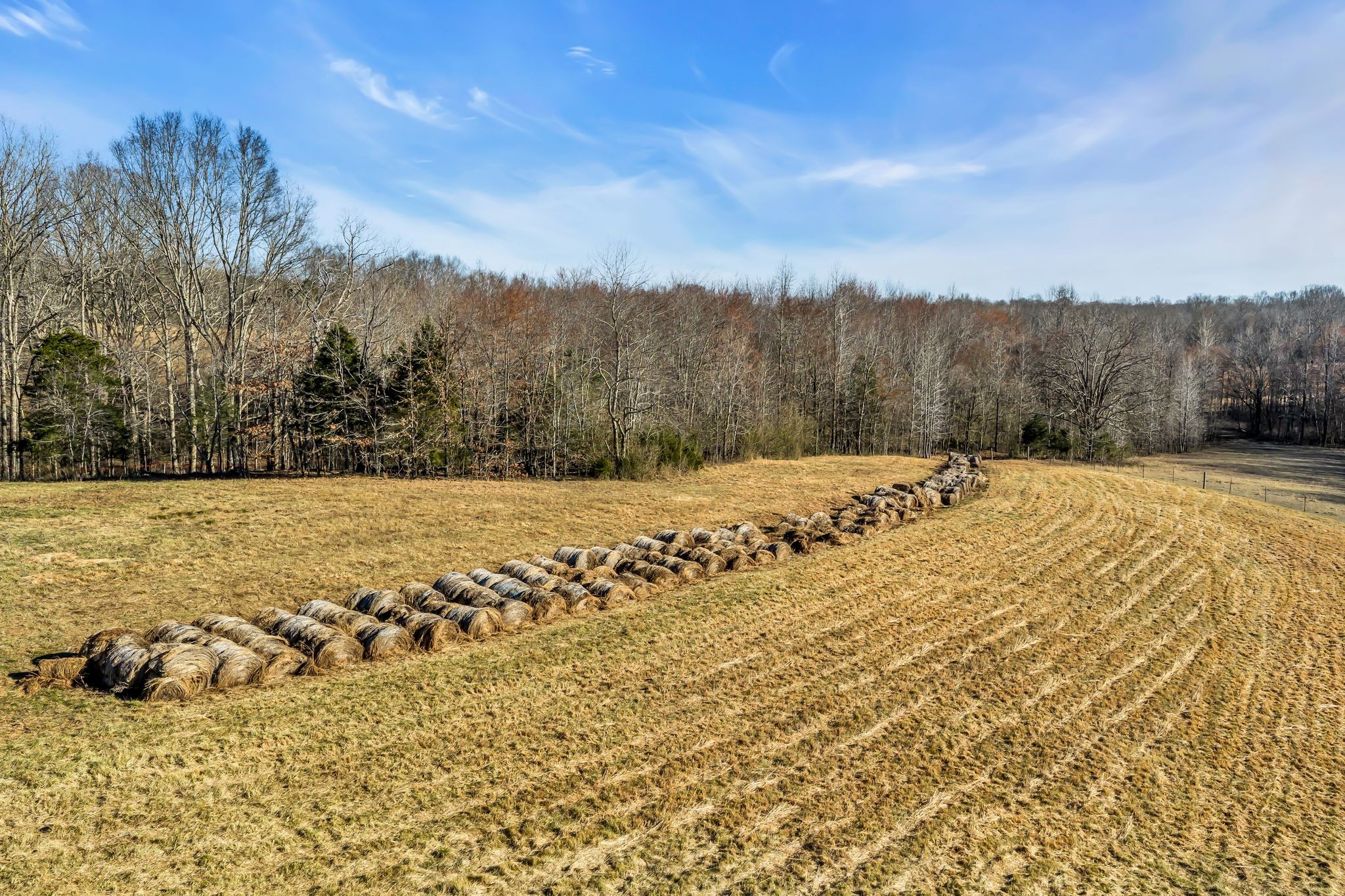  2340 Ridge Road, McEwen, TN 37101 - 物件實景