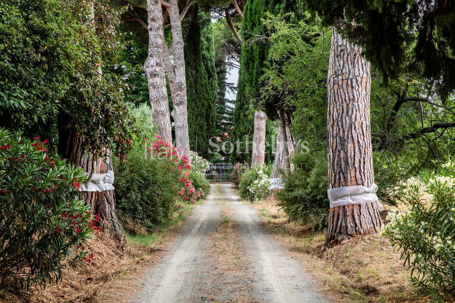  Ancient Villa in Castelli Romani - 物件實景