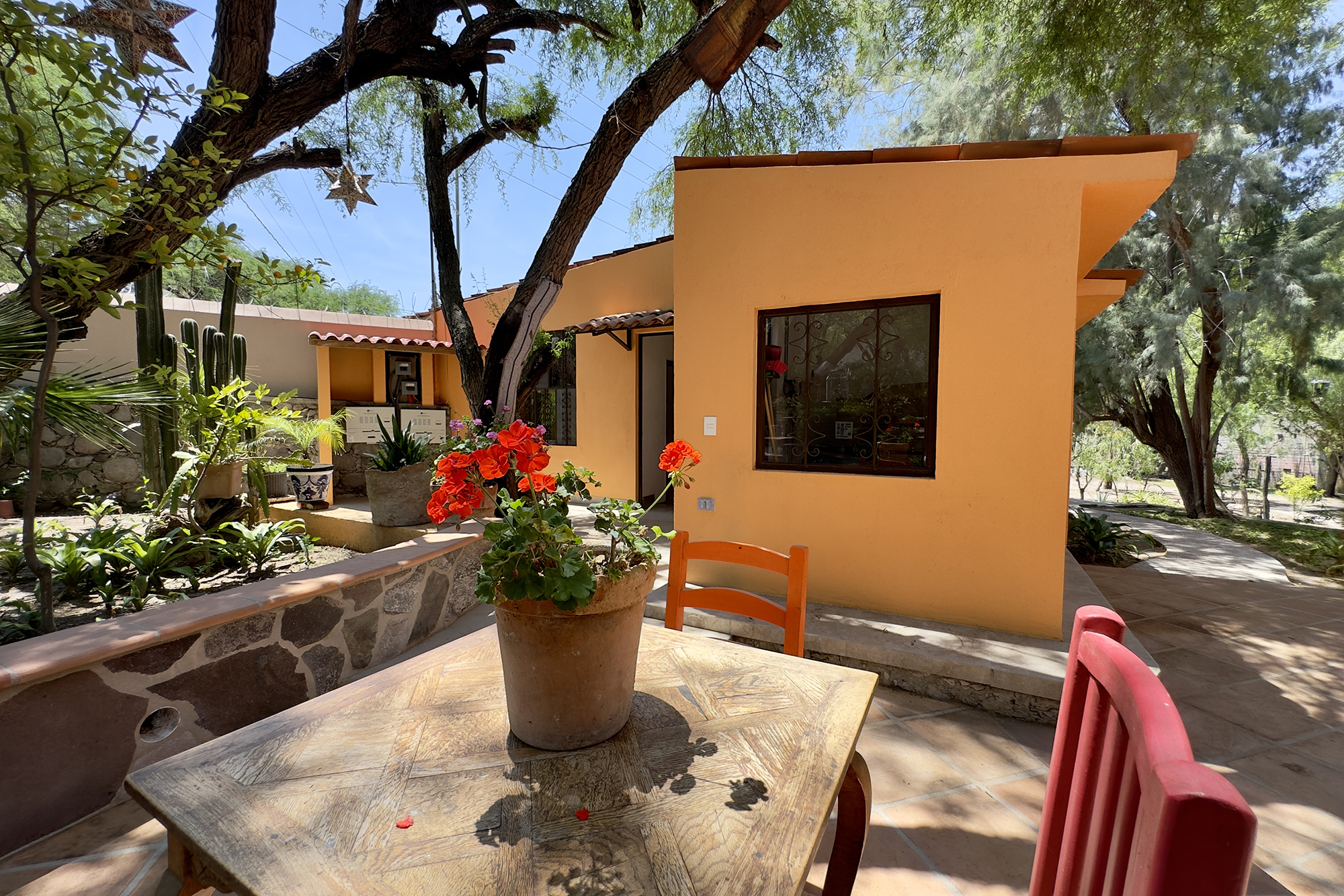  Casa Ciene - 物件實景