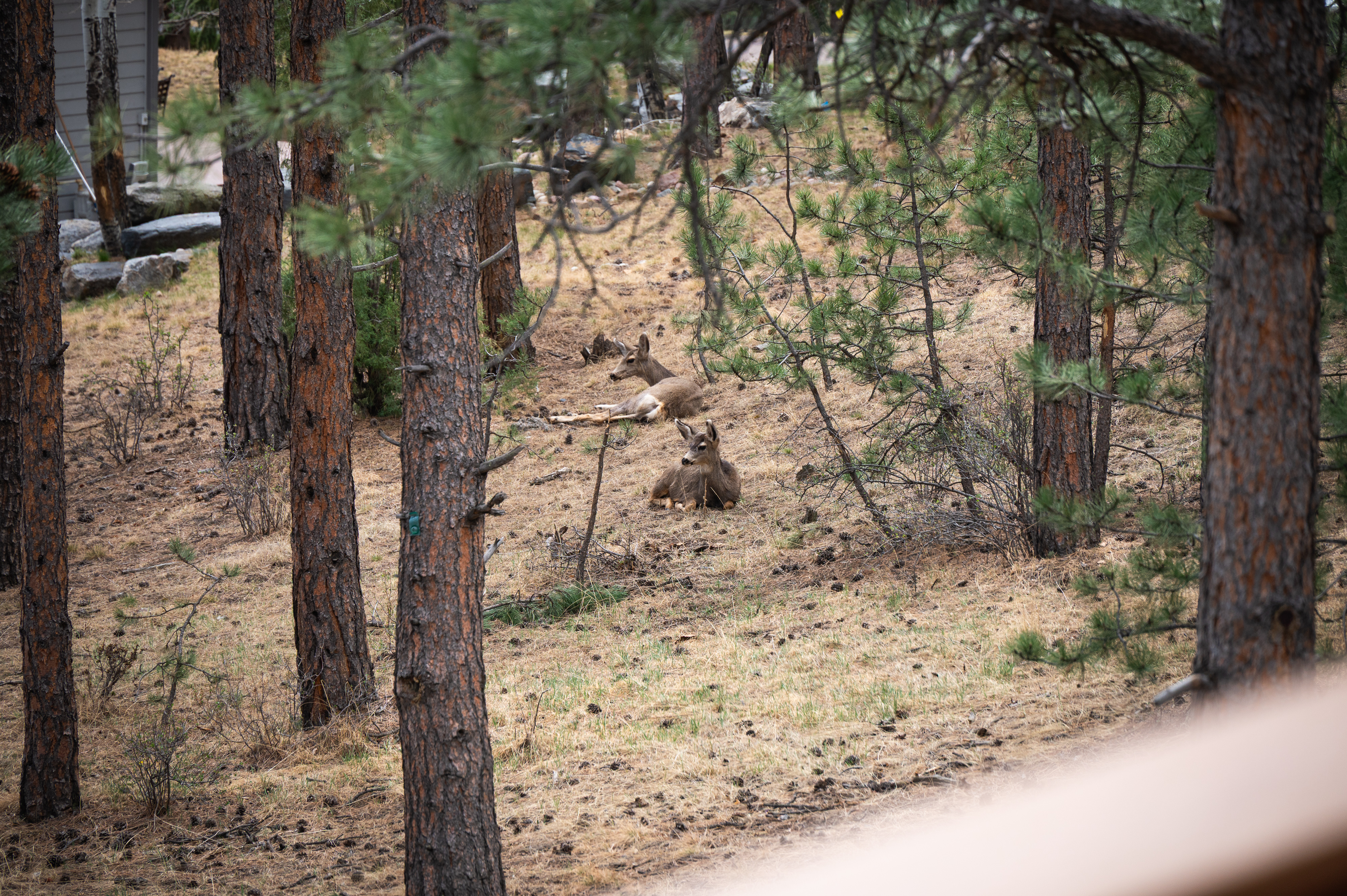 The Ridge at Hiwan - 物件實景
