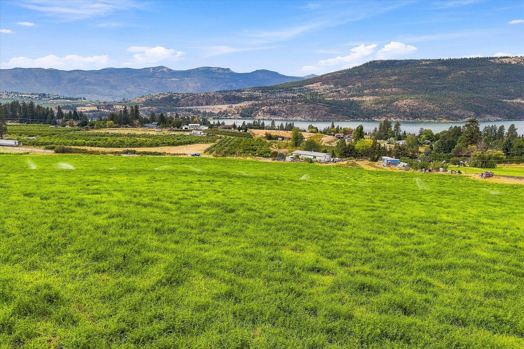  Productive Farmland in Oyama - 物件實景