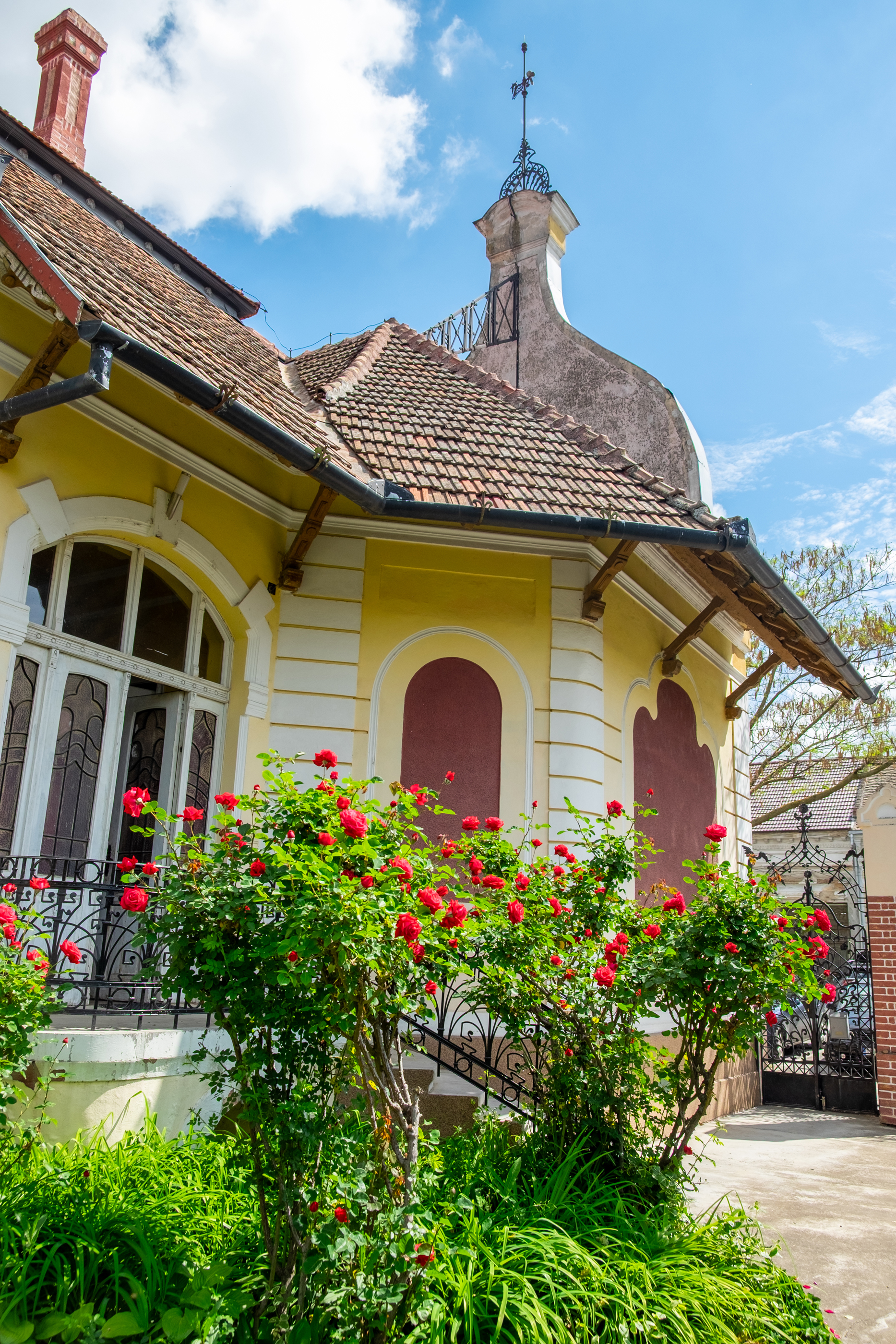  Ferch Manor - History and Tradition near Timioara - 物件實景