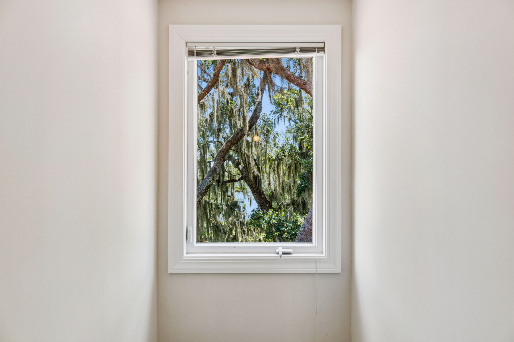  879 Broadview Drive, Ridgeland - 物件實景