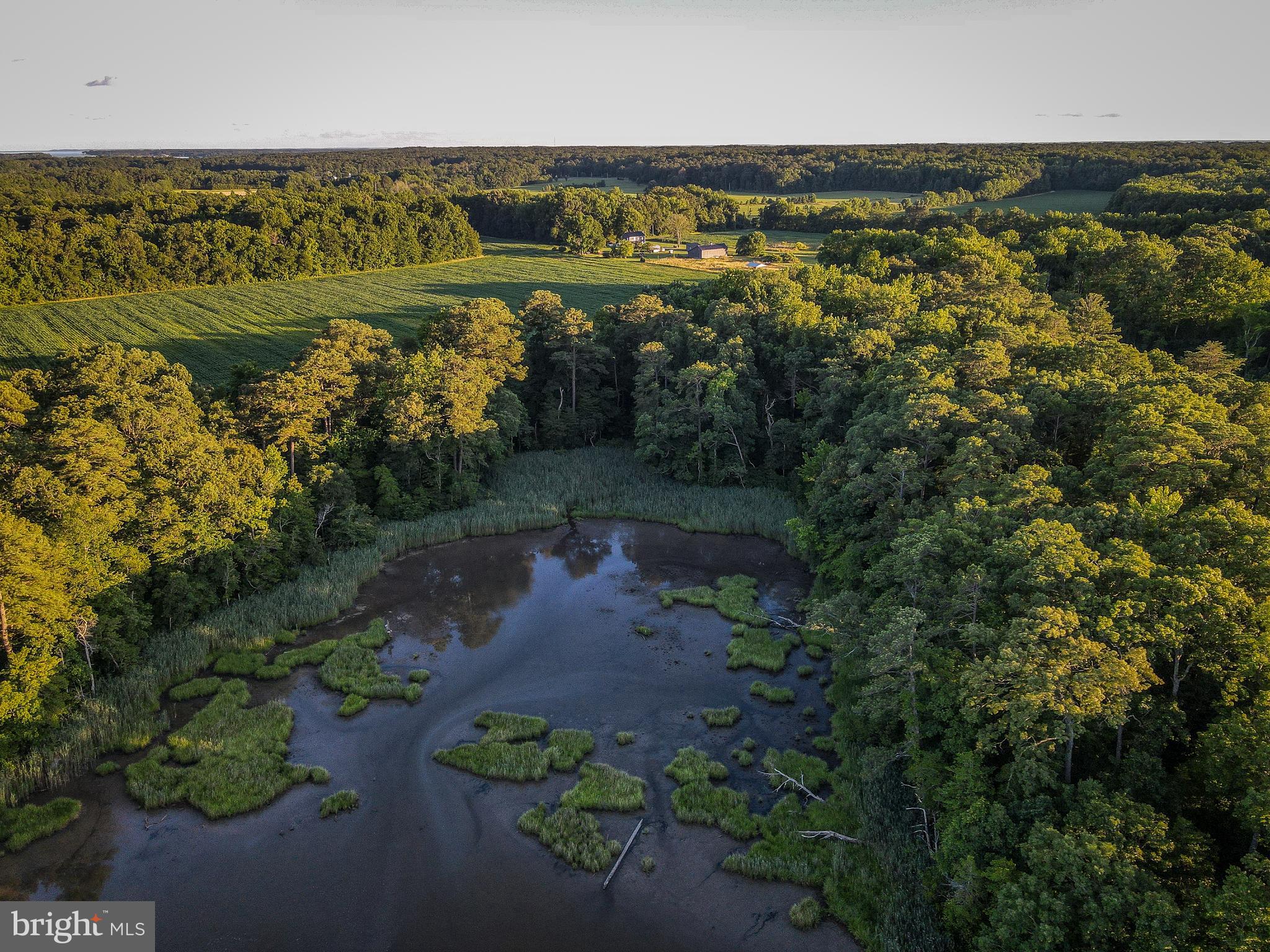 Lexington Park, Maryland, 20653, United States, 4 Bedrooms Bedrooms, ,3 BathroomsBathrooms,Residential,For Sale,1999530