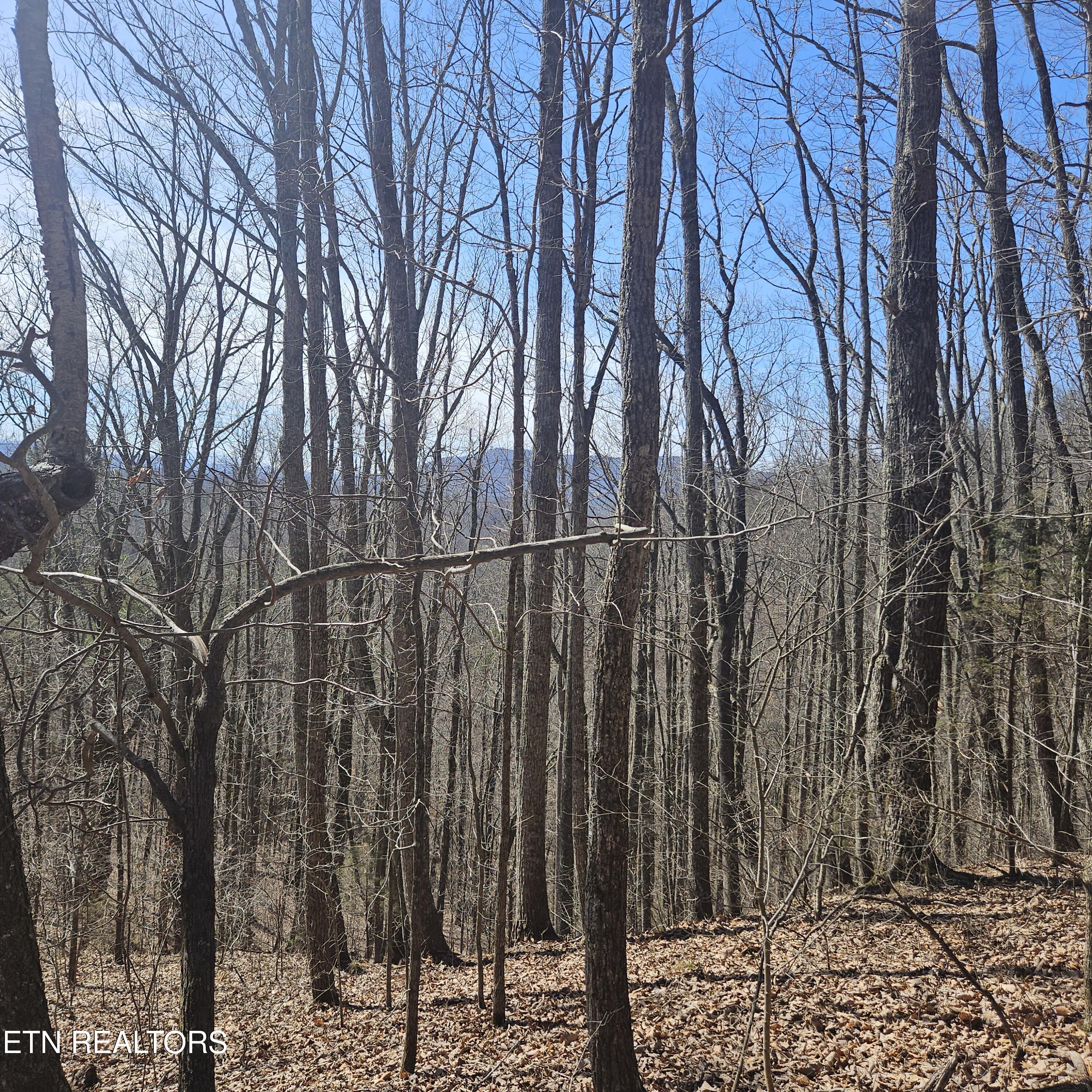 Tellico Plains, Tennessee, 37385, United States, ,Residential,For Sale,1922105