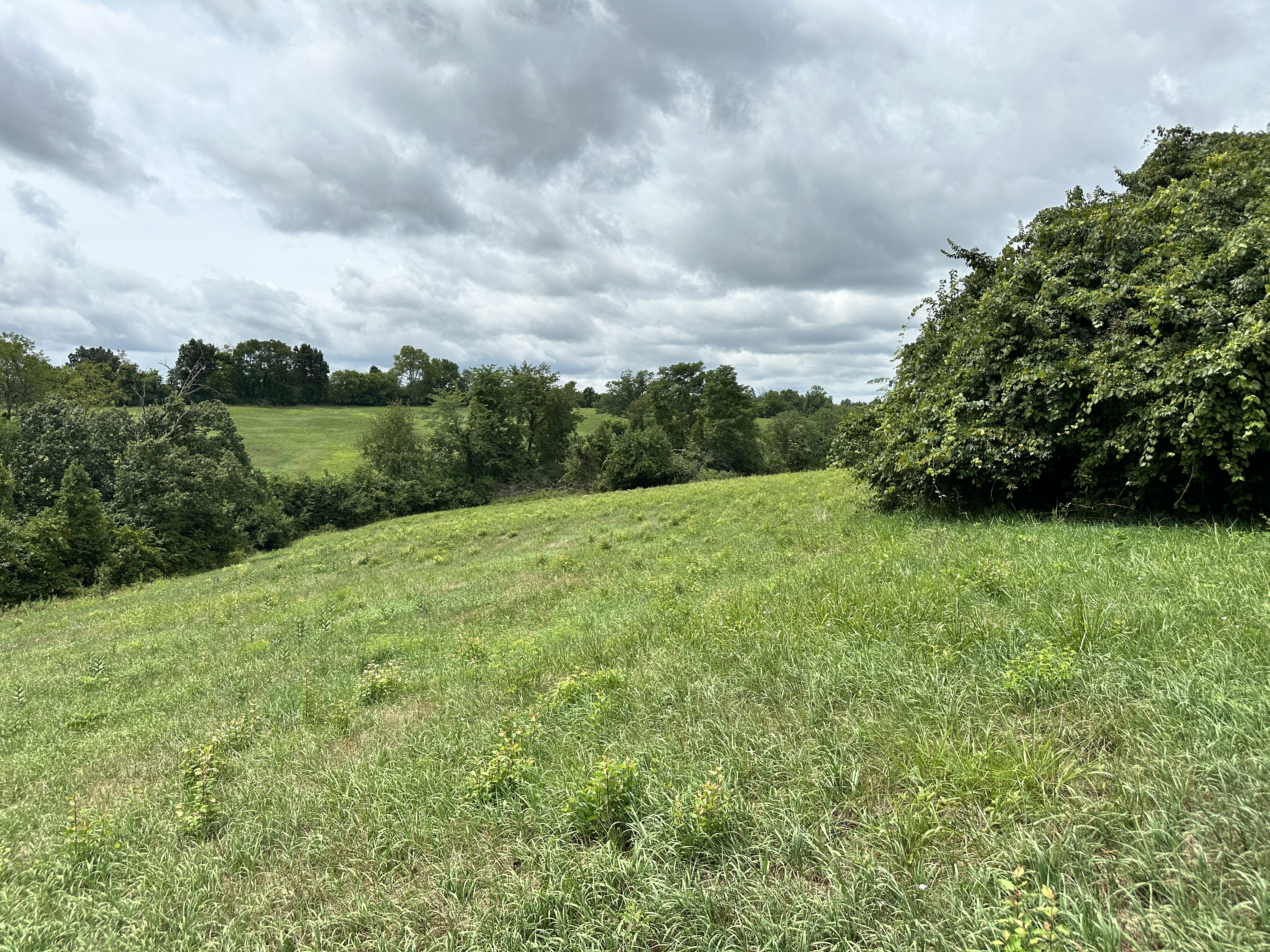 Walton, Kentucky, 41094, United States, 3 Bedrooms Bedrooms, ,1 BathroomBathrooms,Residential,For Sale,1974773