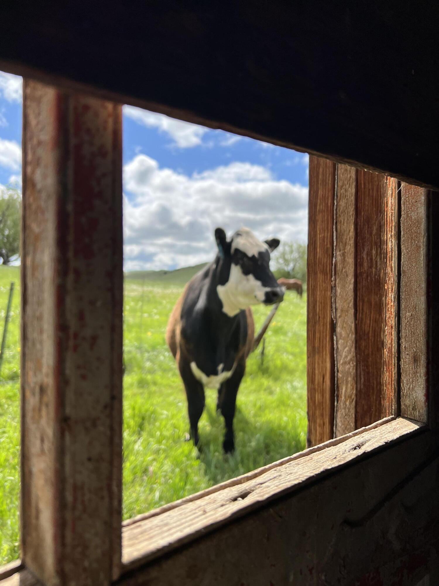 TBD HWY 87, Sheridan, Wyoming, 82801, United States, ,Residential,For Sale,TBD HWY 87,1612340