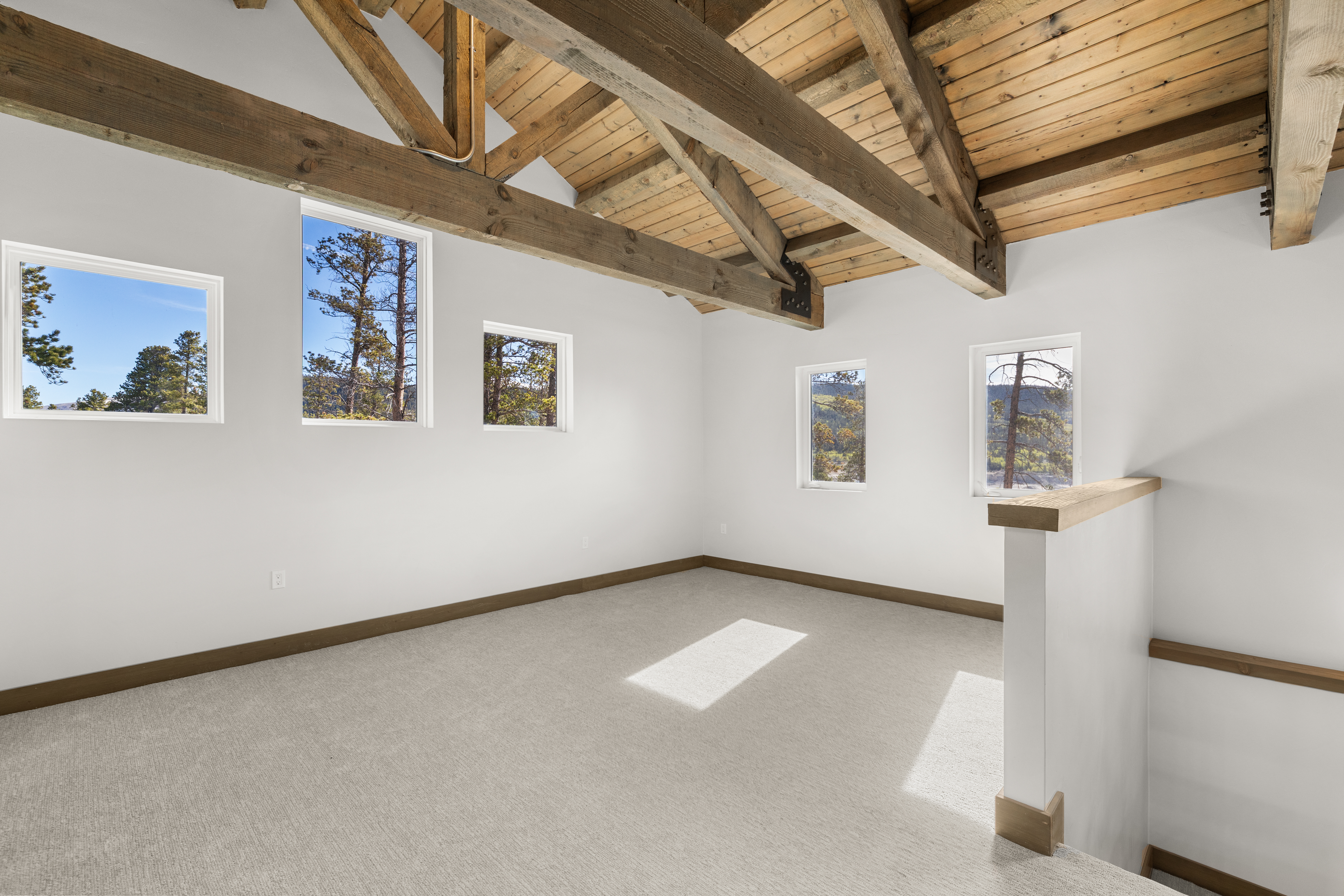  141 N Aspen Street, Alma, CO, 80420 - 物件實景
