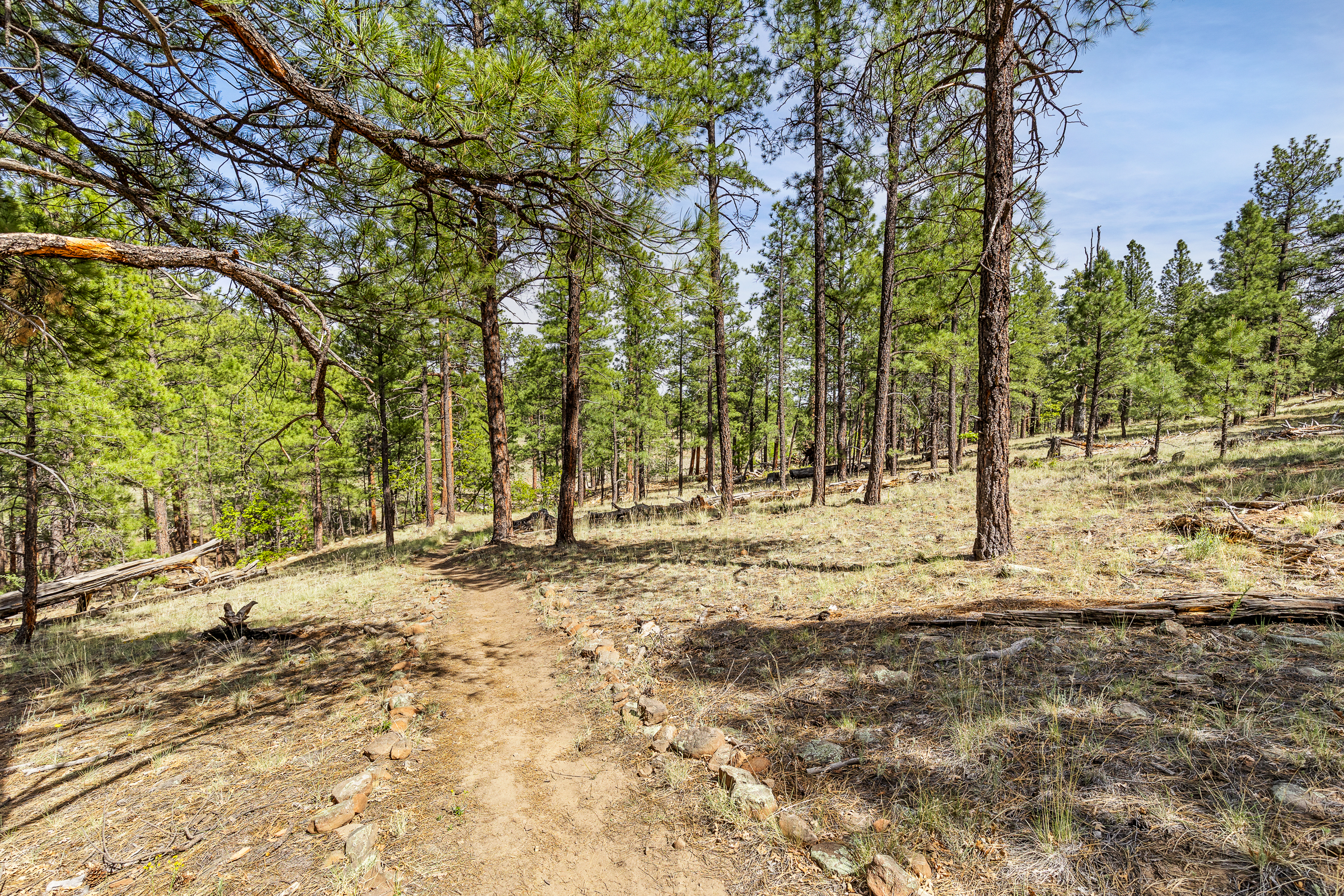  1392 Bouteloua Bend  Flagstaff, AZ - 物件實景