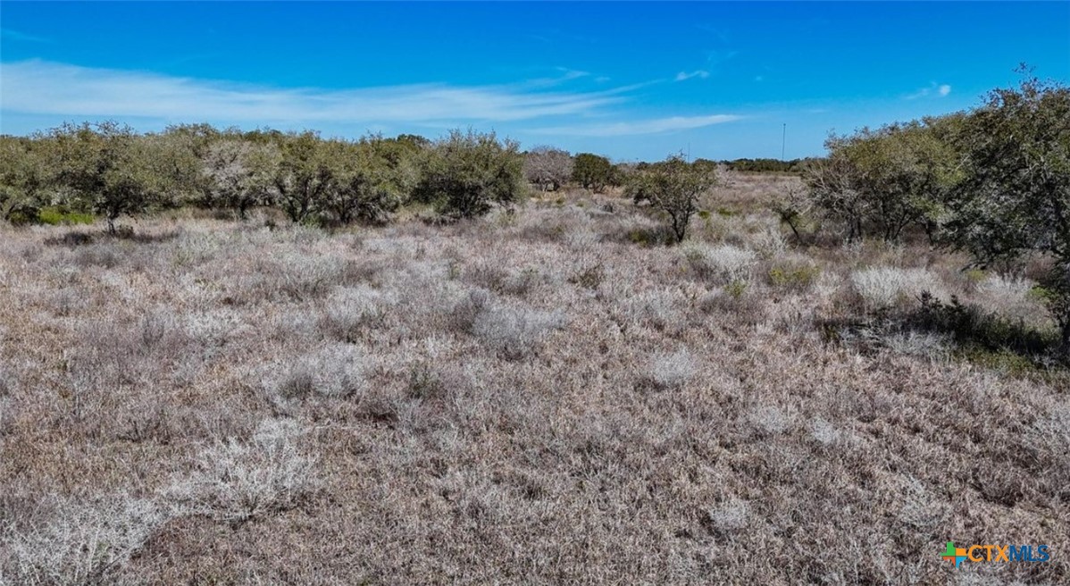 Beeville, Texas, 78102, United States, ,Land,For Sale,1903807
