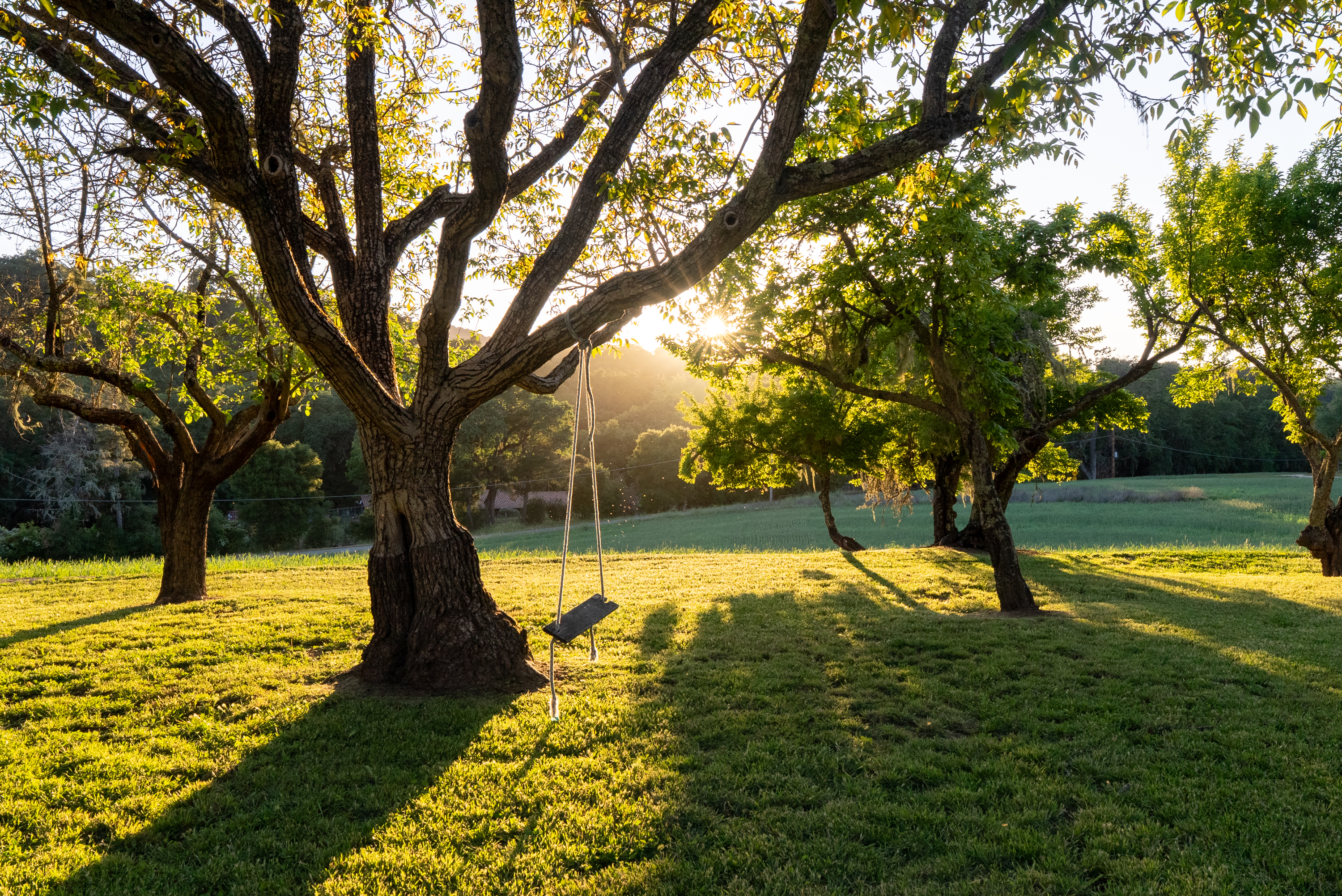  5250 & 5260 - 物件實景