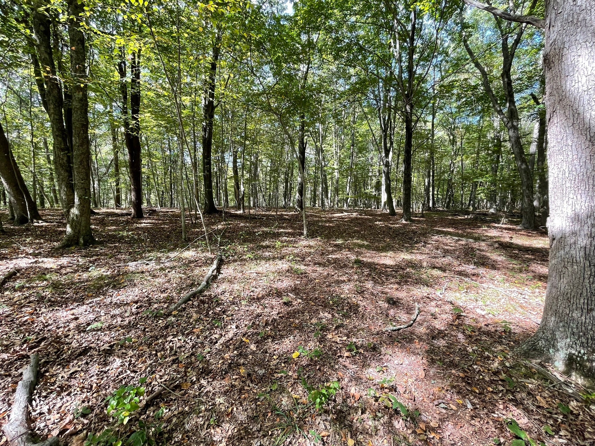 Old Lyme, Connecticut, 06371, United States, ,Land,For Sale,1979689