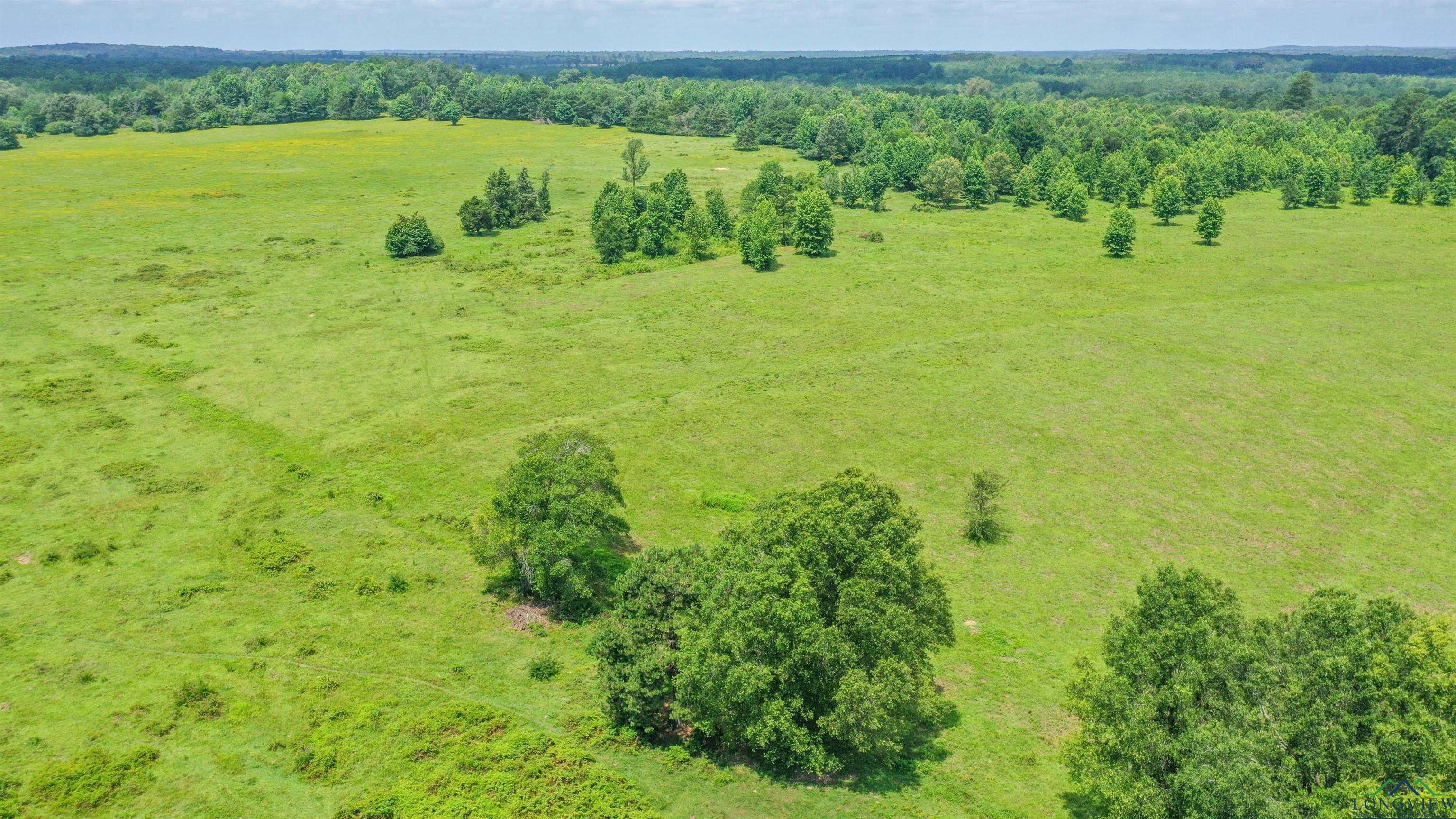 Linden, Texas, 75563, United States, ,Residential,For Sale,1809519