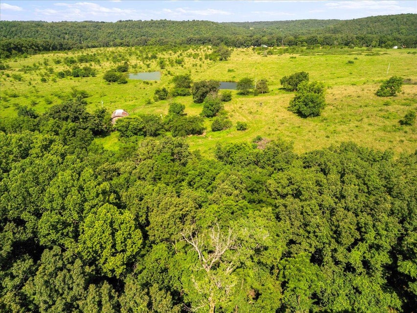 Udall, Missouri, 65766, United States, ,Land,For Sale,1984172